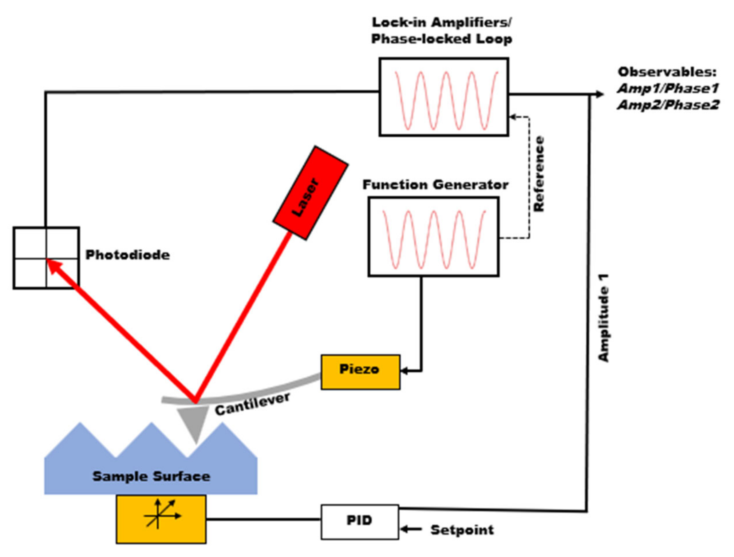 Polymers 15 00492 g001