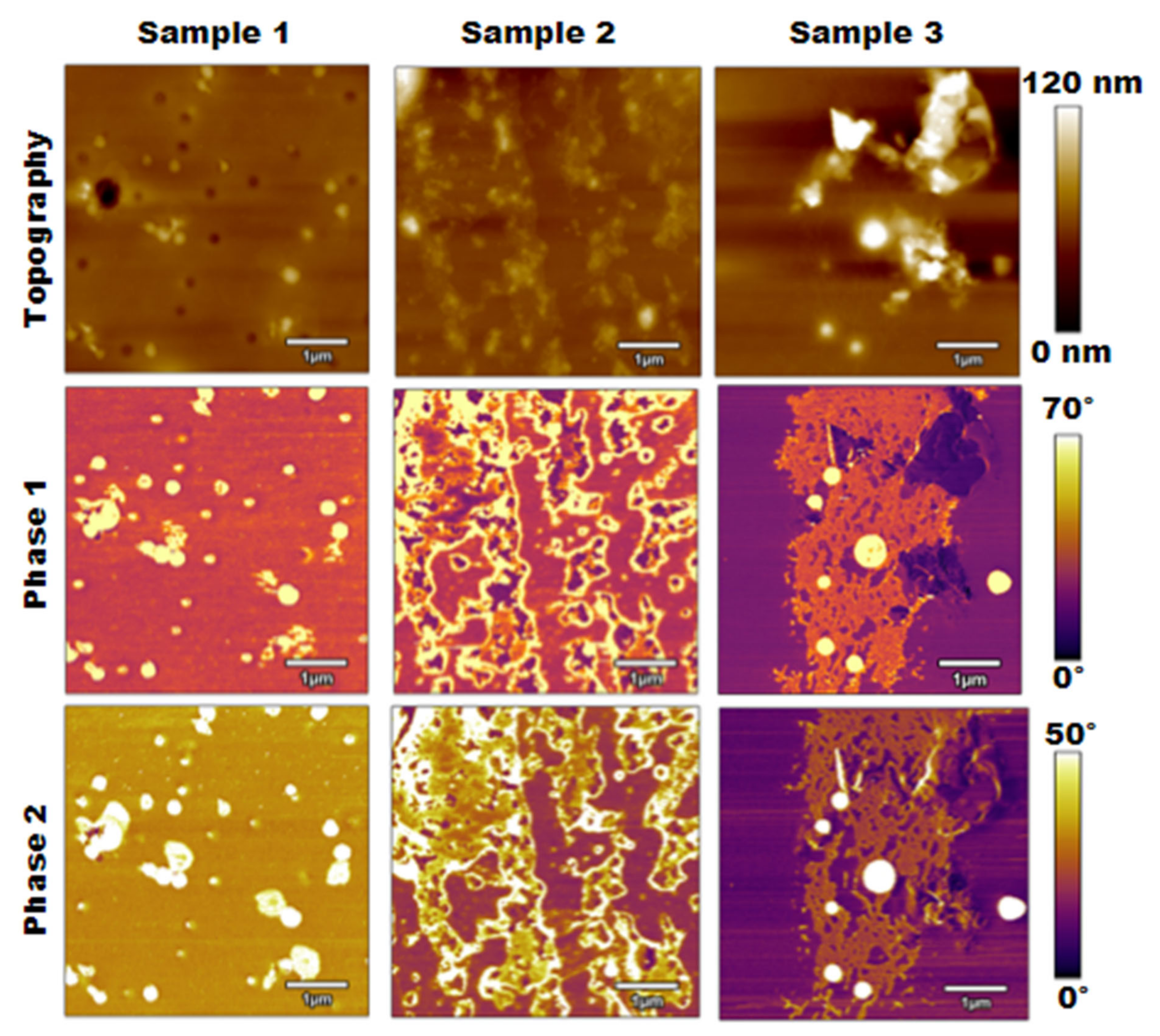 Polymers 15 00492 g004