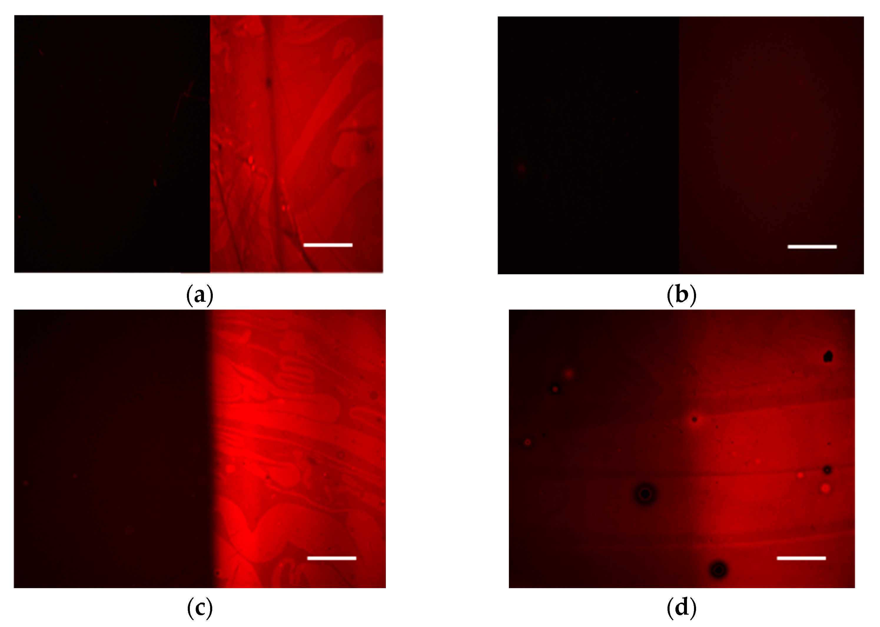 Polymers 15 00493 g006 Polymers 15 00493 g006