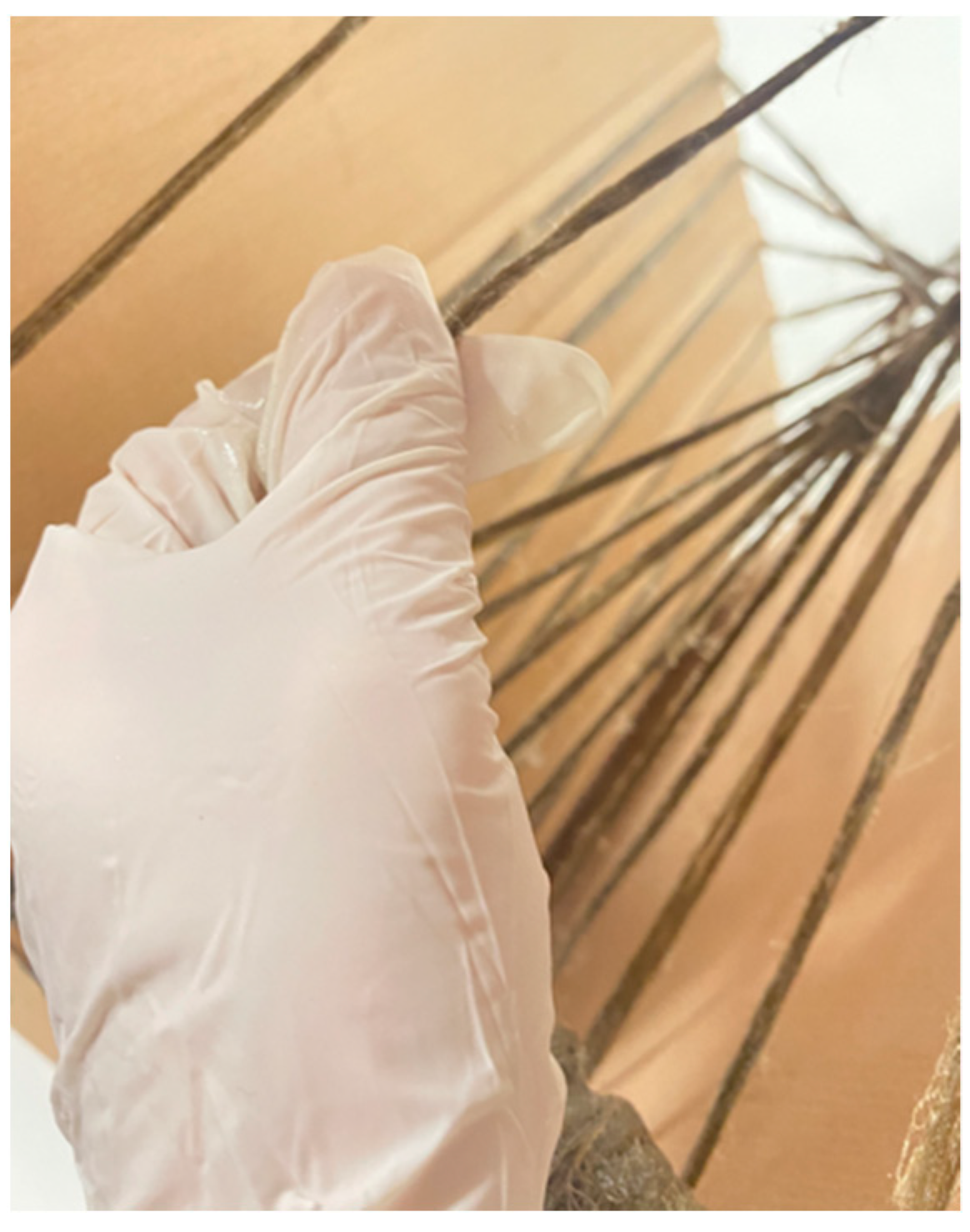 Polymers 15 00495 g018