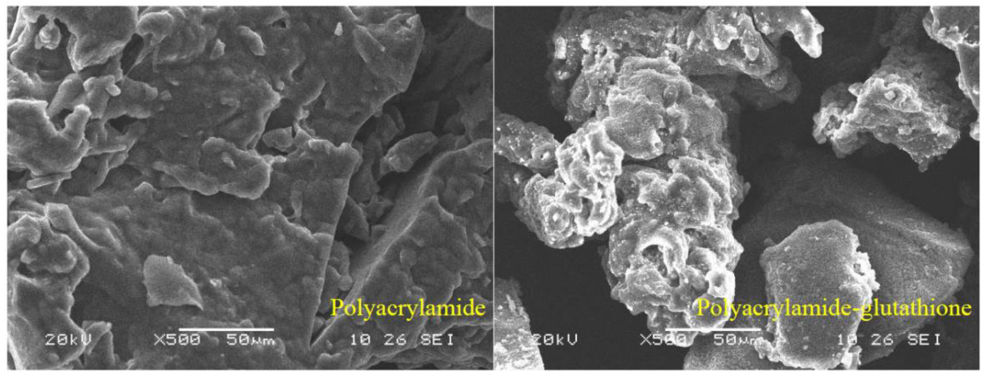 Polymers 15 00500 g005 Polymers 15 00500 g005