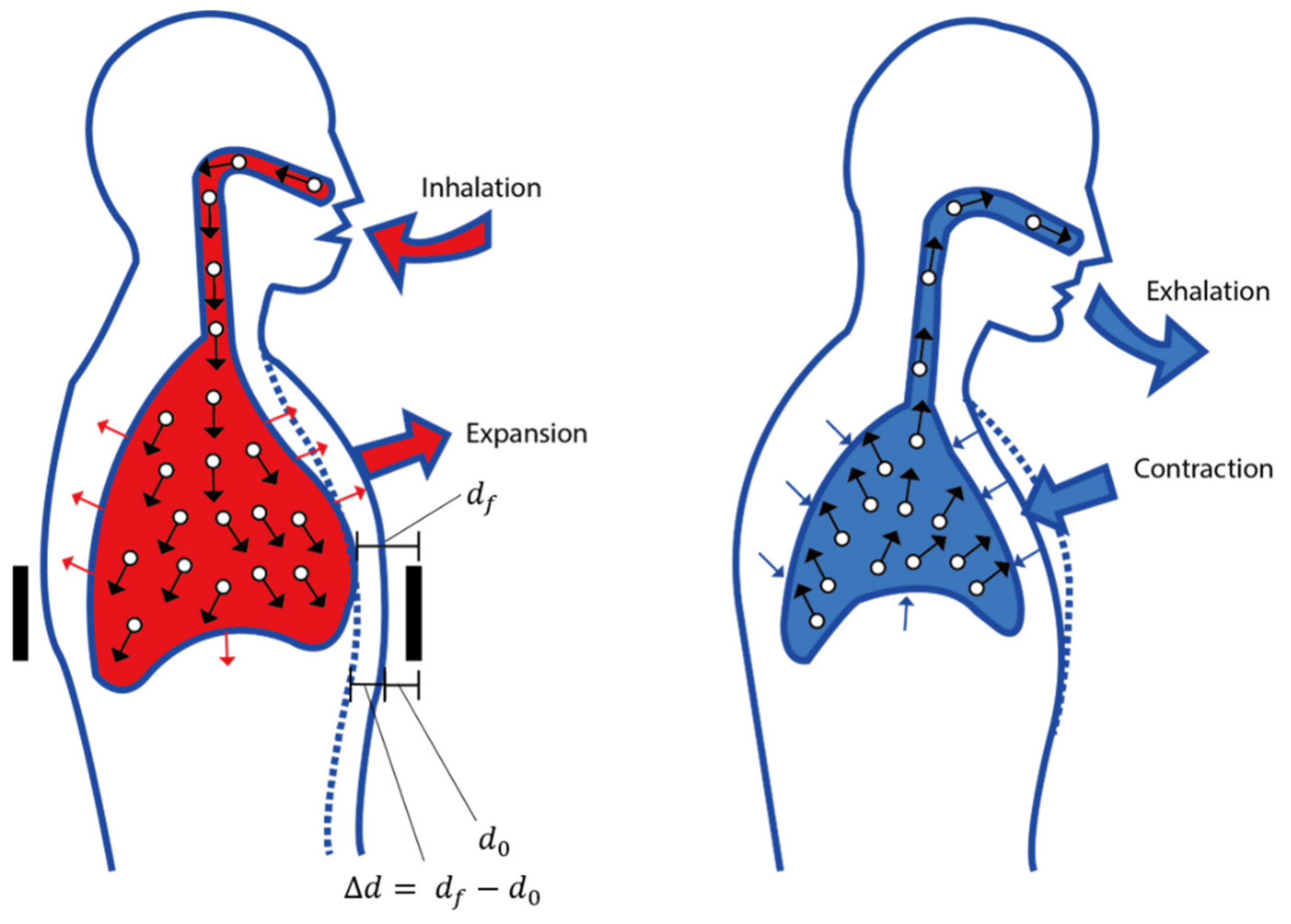 Polymers 15 00503 g005 Polymers 15 00503 g005