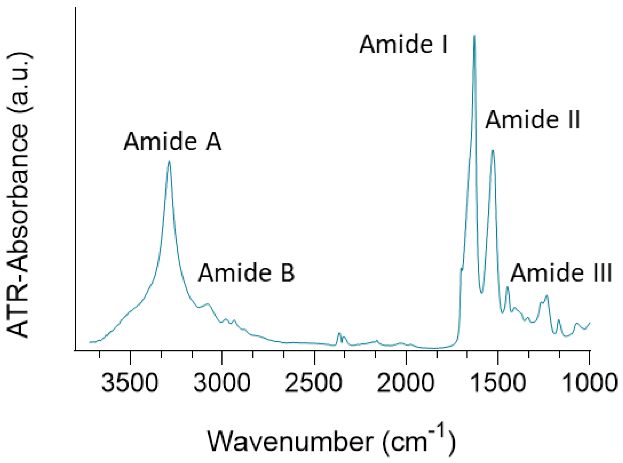 Polymers 15 00504 g003