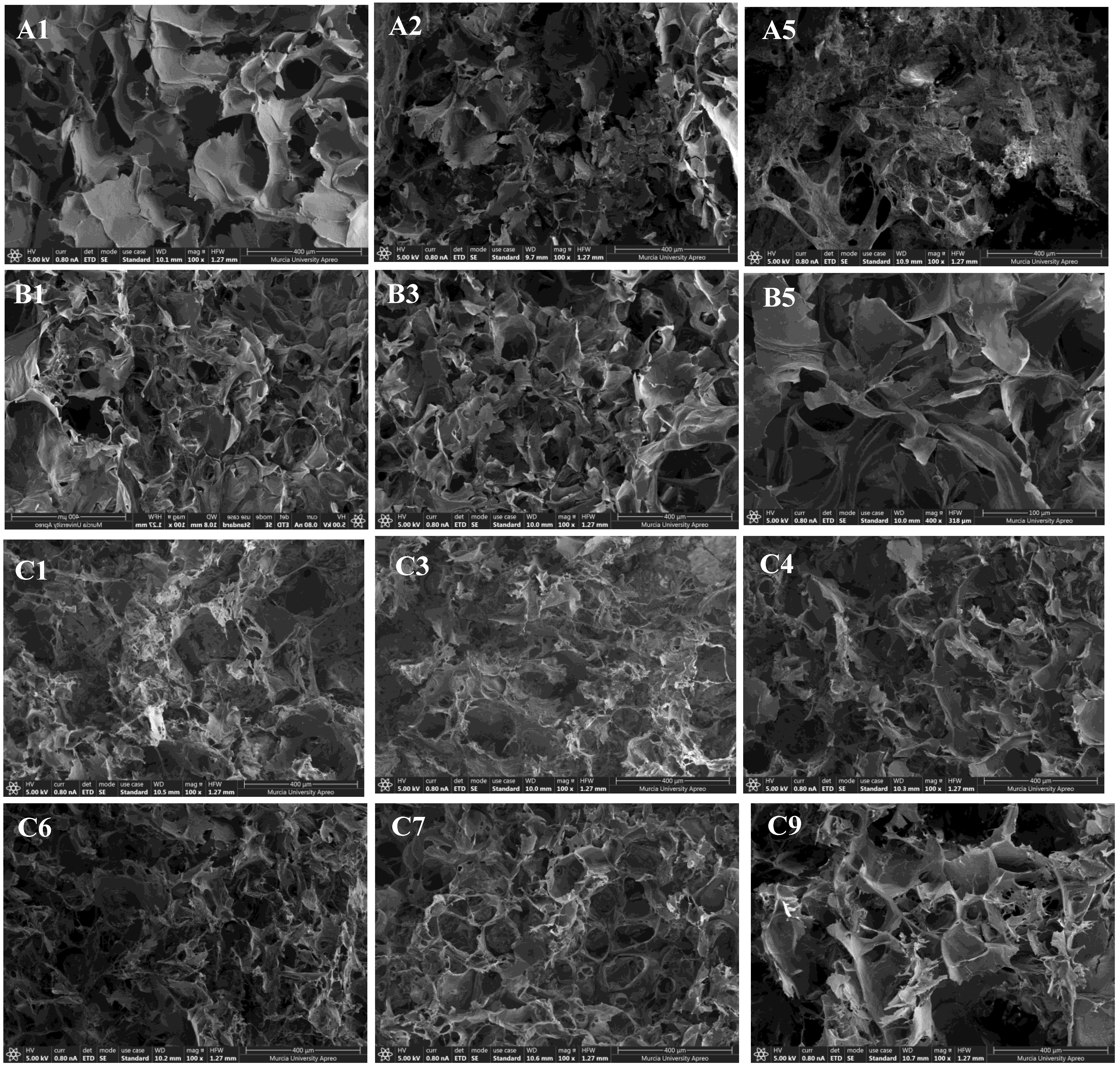 Polymers 15 00504 g006
