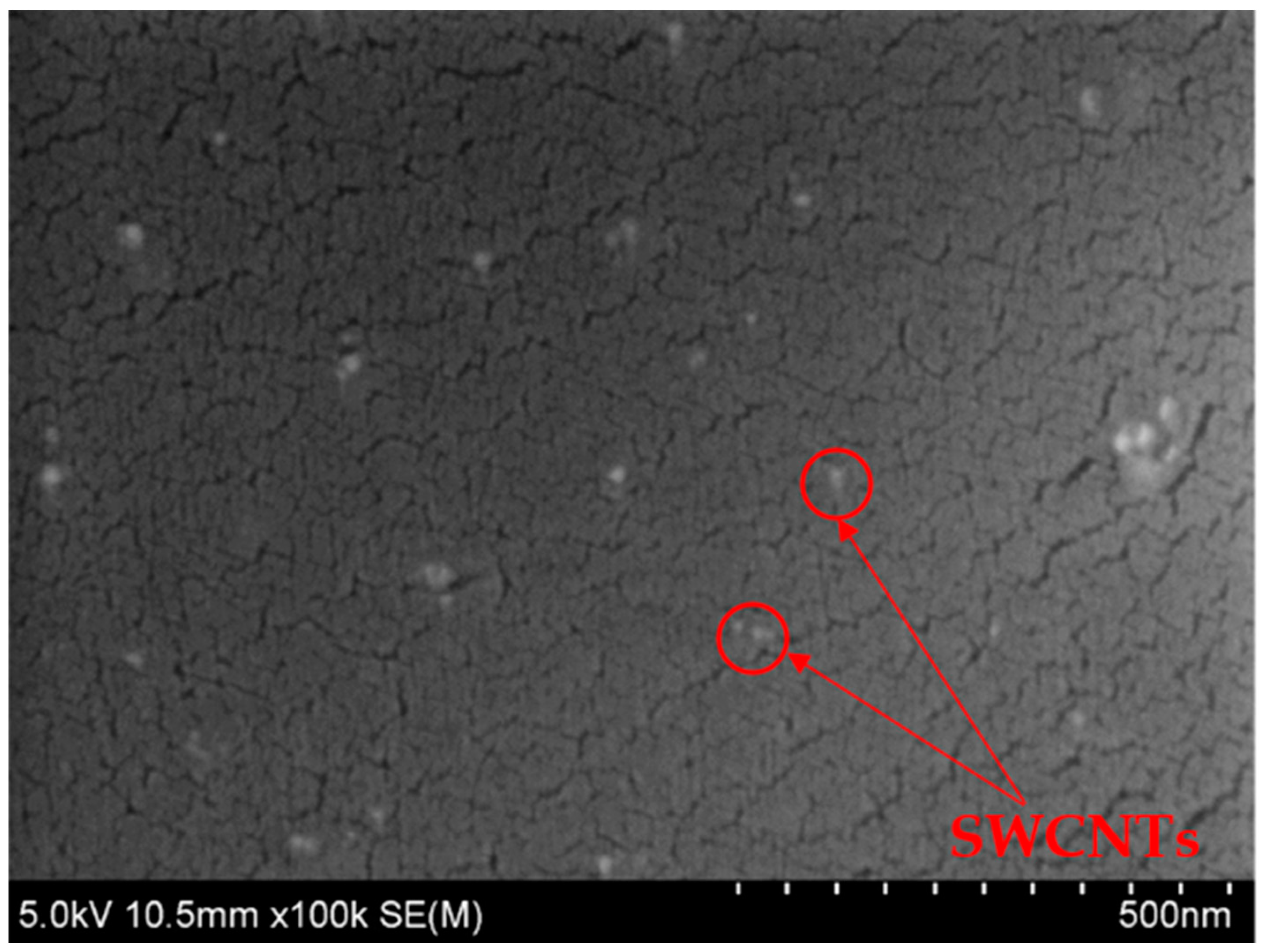 Polymers 15 00506 g004 Polymers 15 00506 g004