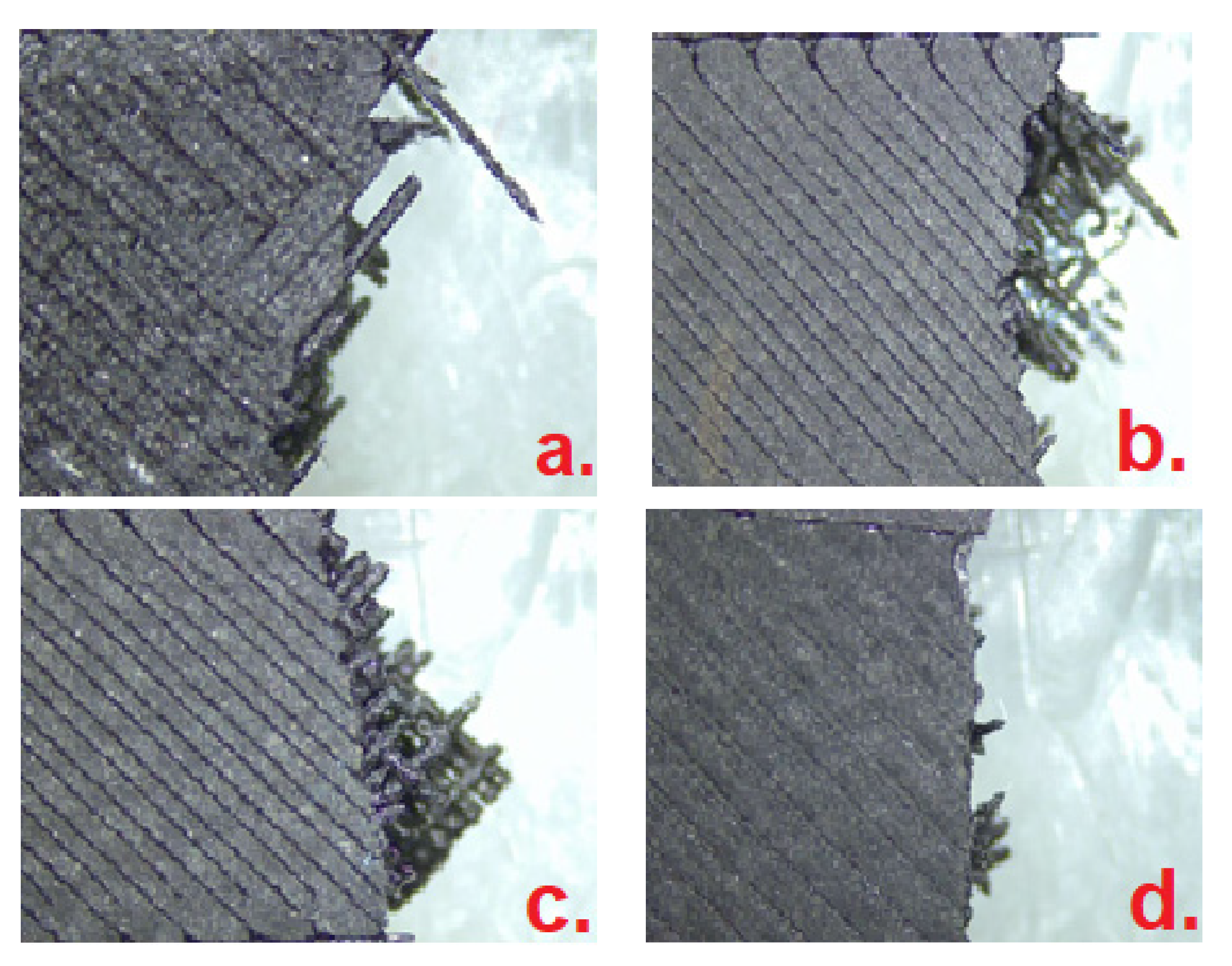 Polymers 15 00507 g012