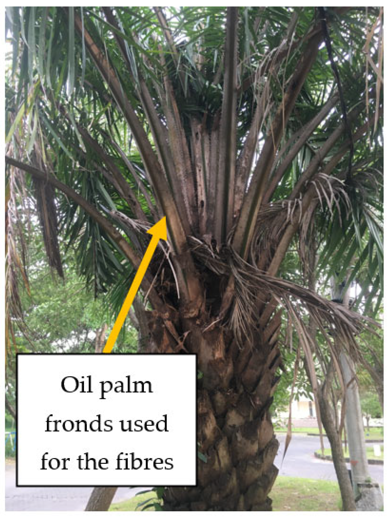 Polymers 15 00510 g001