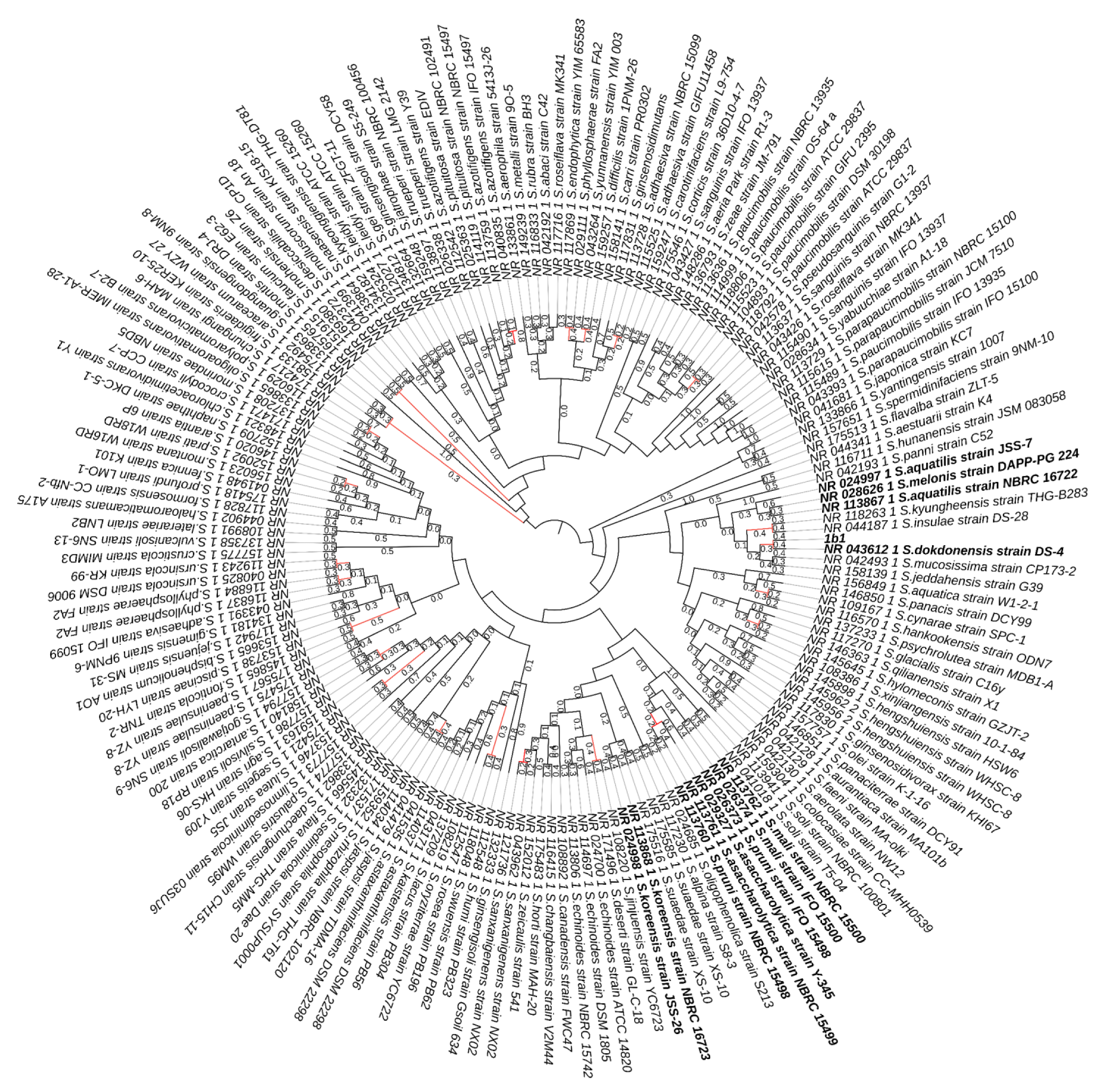 Polymers 15 00512 g002 Polymers 15 00512 g002