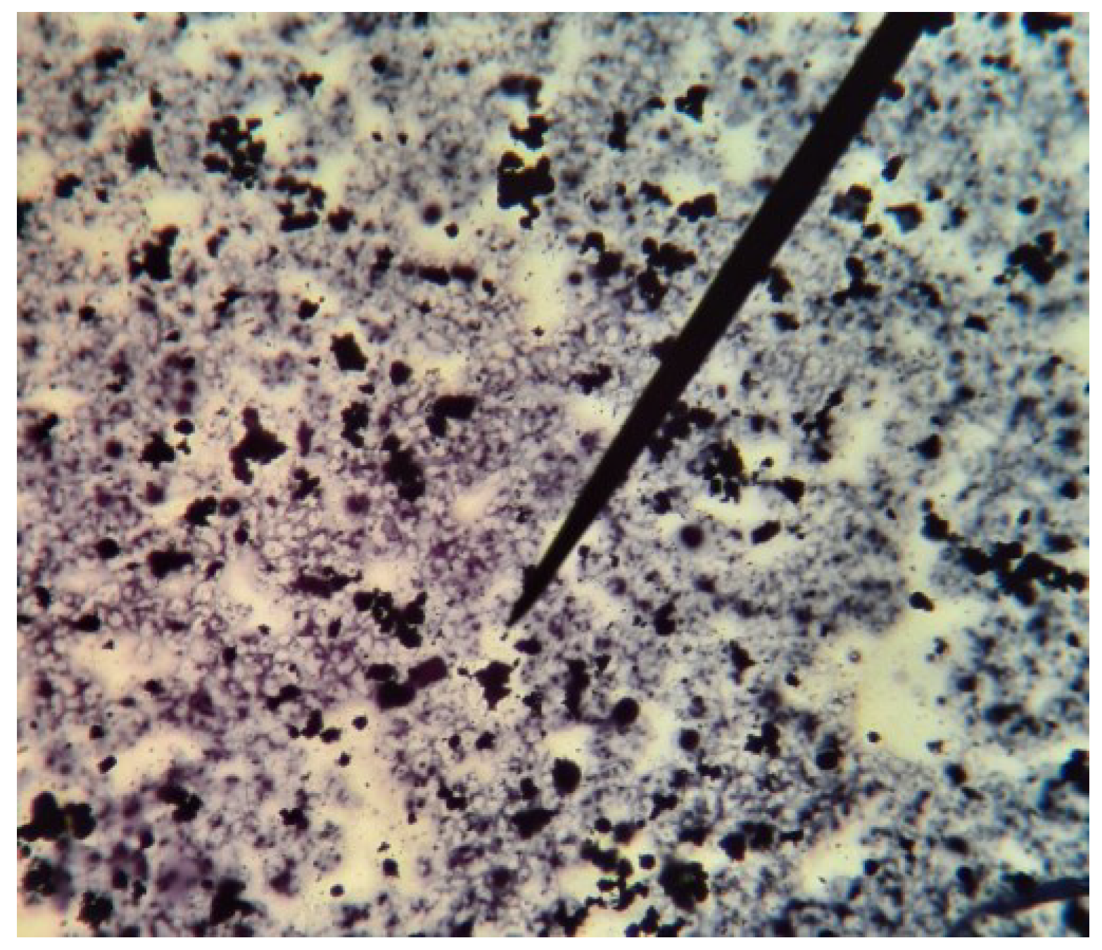 Polymers 15 00512 g003 Polymers 15 00512 g003