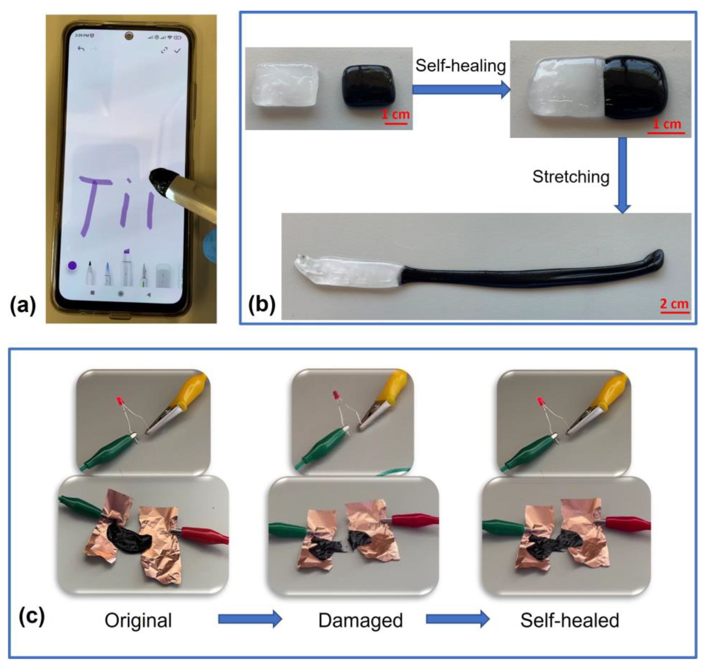 Polymers 15 00516 g006