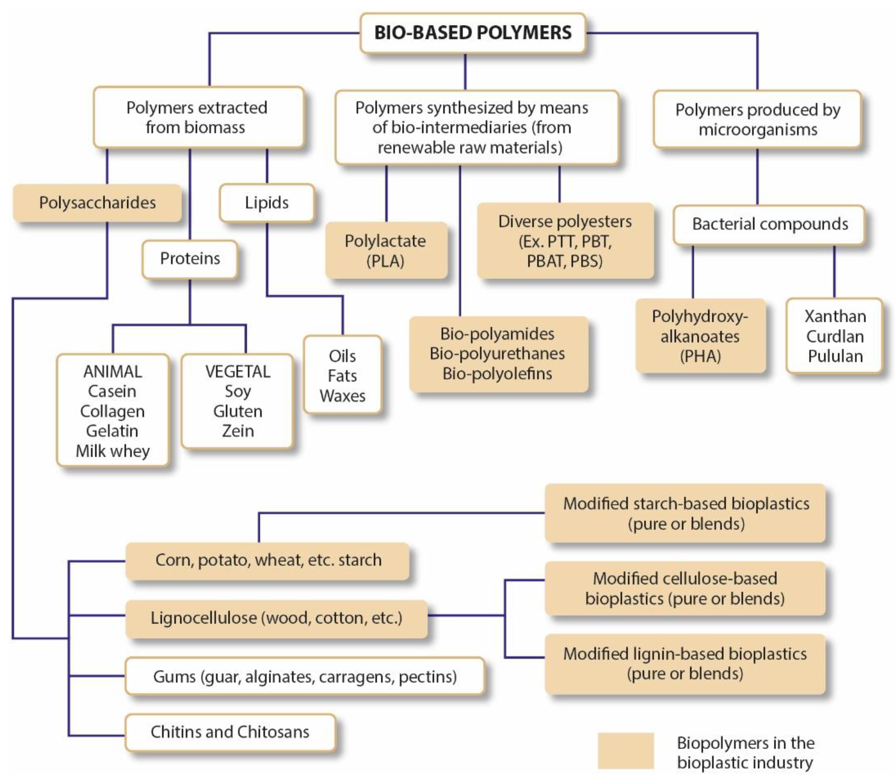 Polymers 15 00517 g003