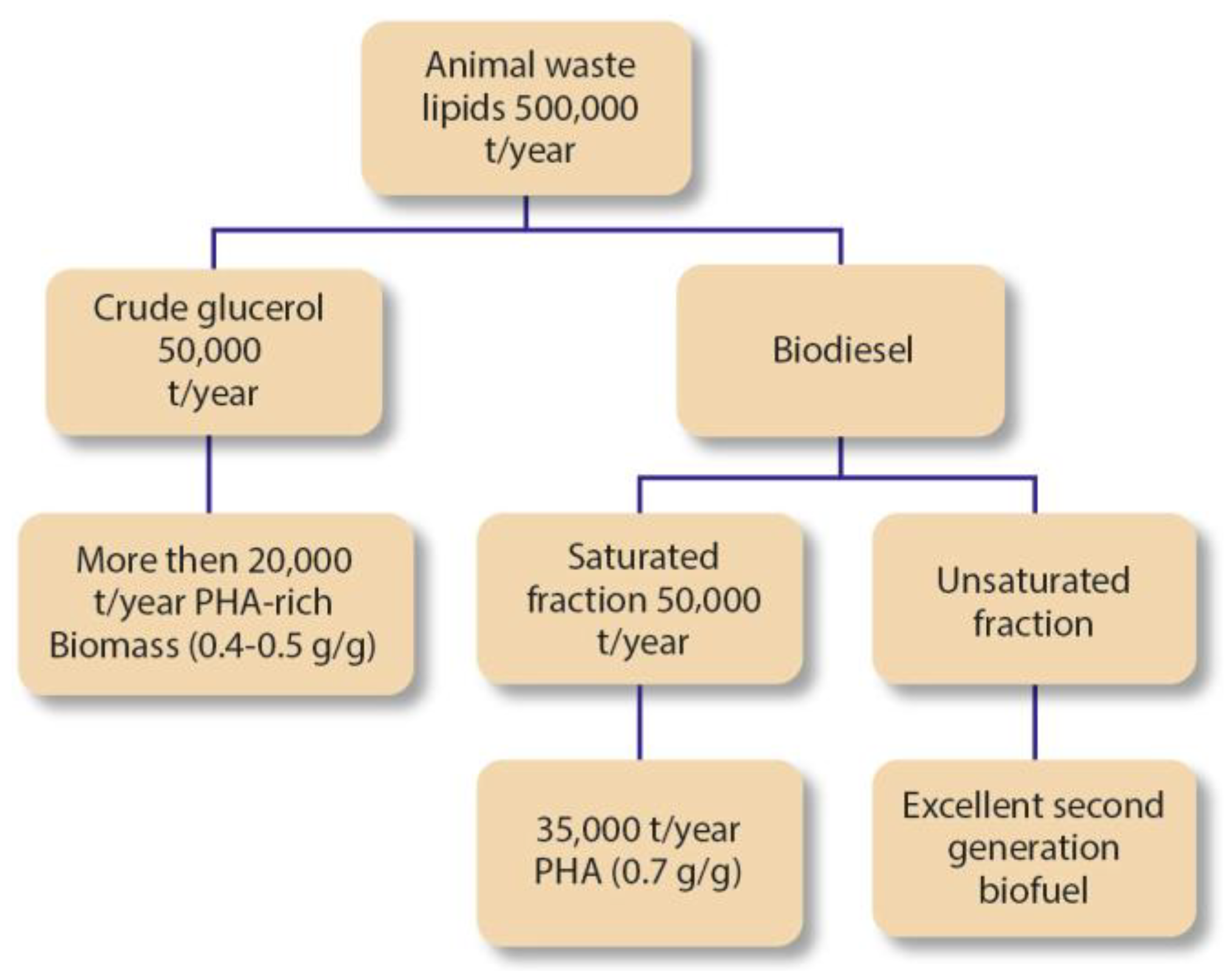 Polymers 15 00517 g005