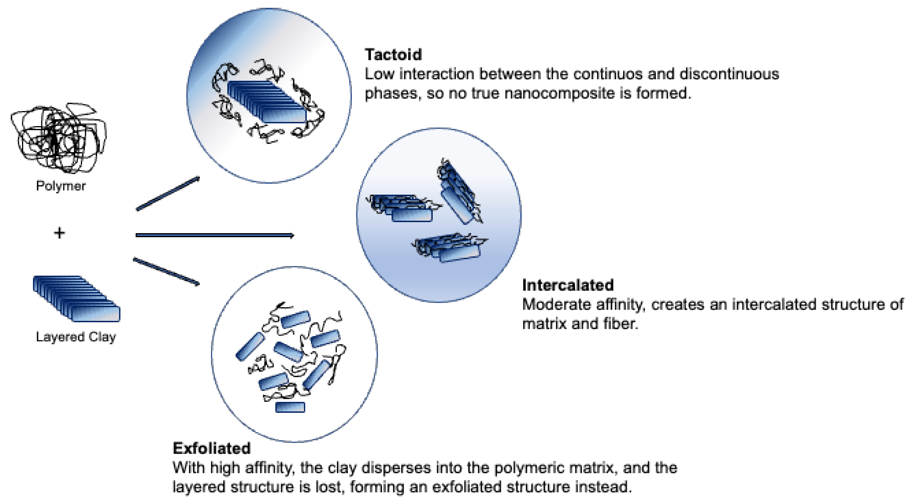 Polymers 15 00517 g008