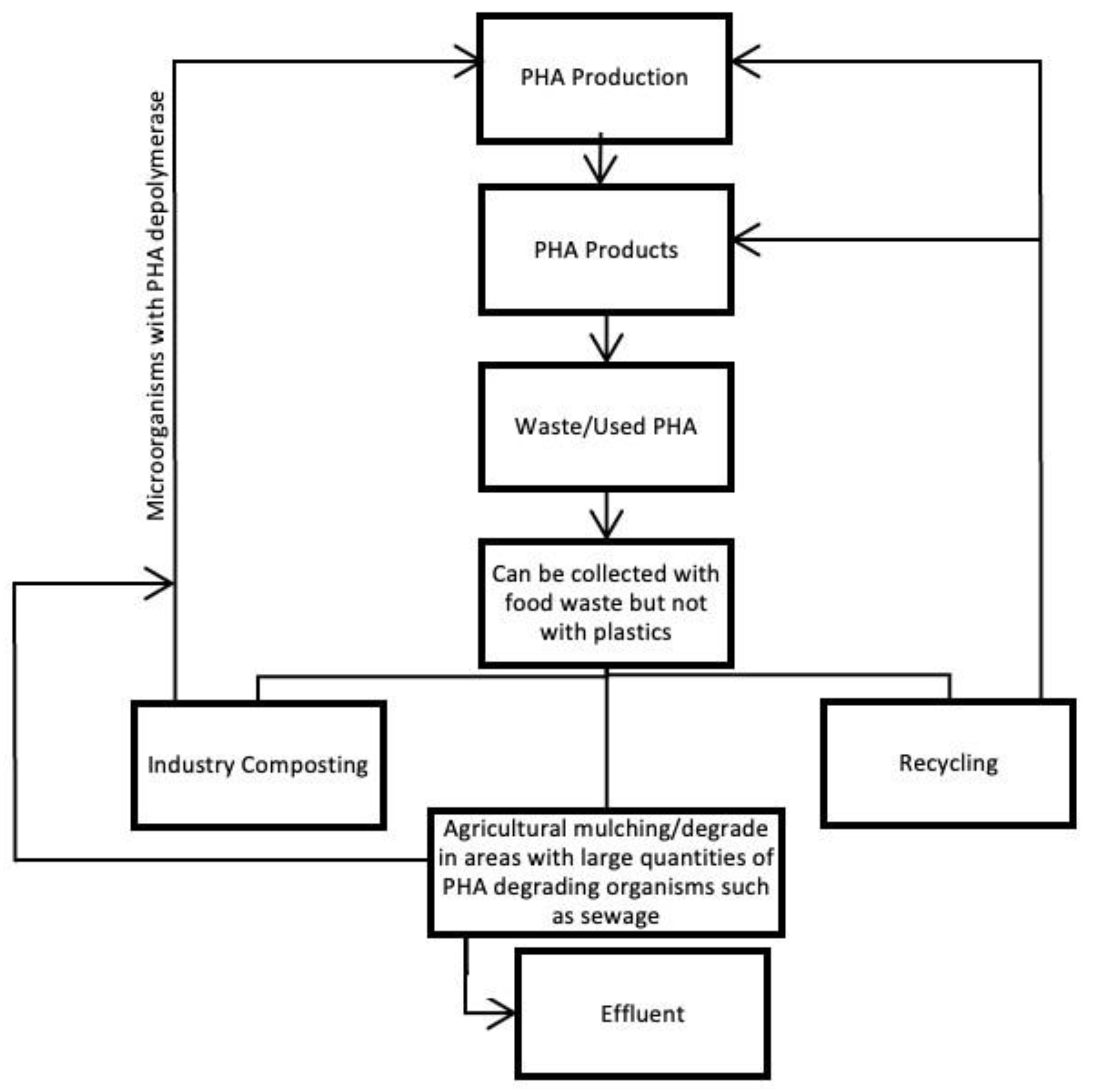 Polymers 15 00517 g015