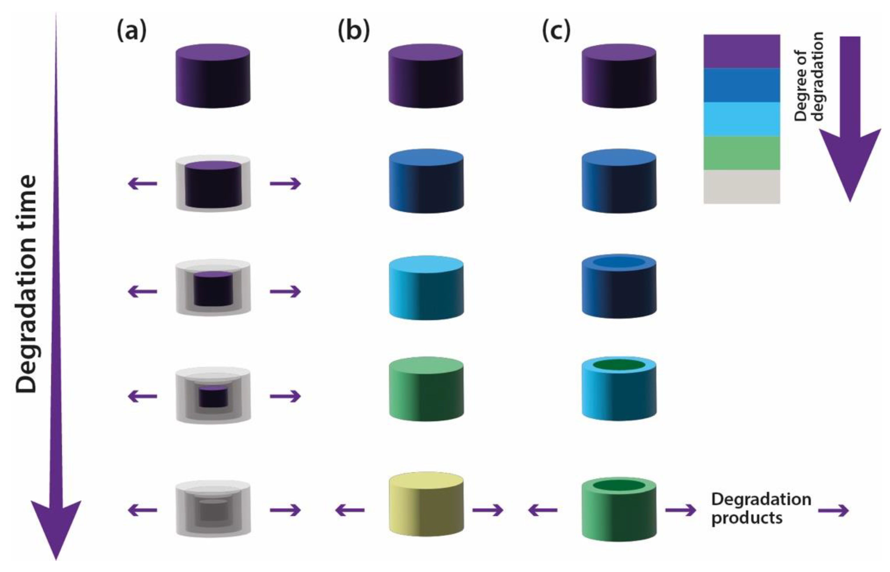 Polymers 15 00517 g017