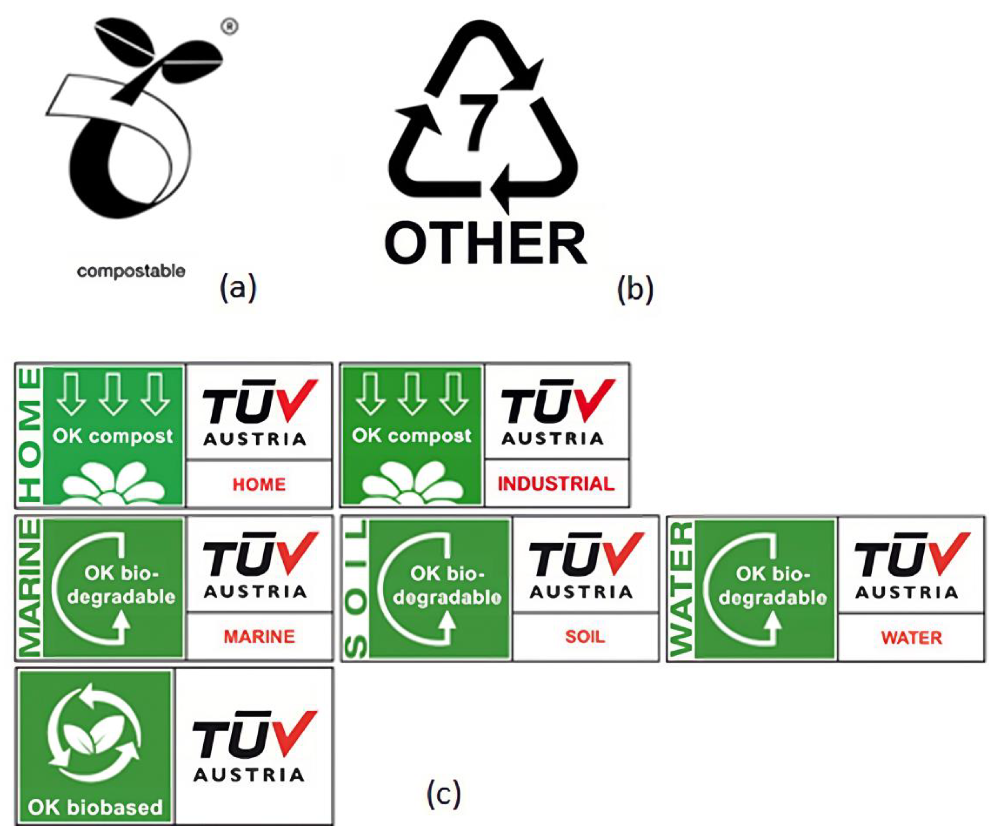 Polymers 15 00517 g021