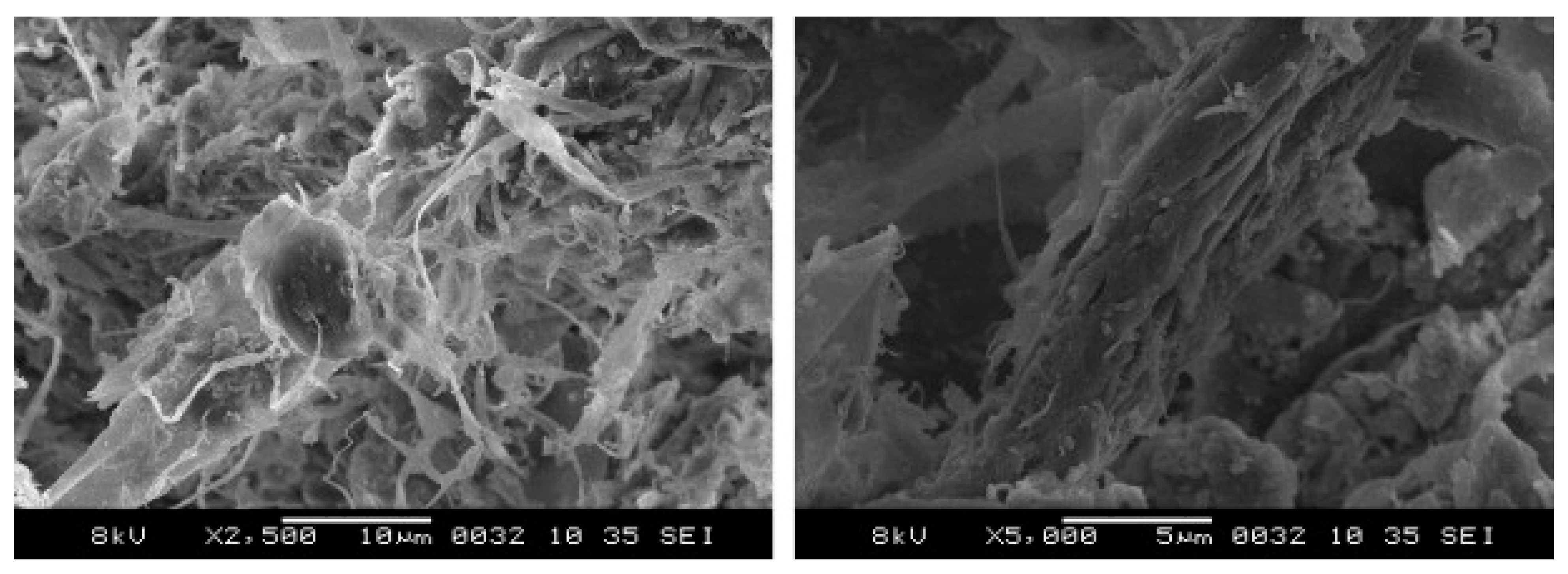 Polymers 15 00520 g002 Polymers 15 00520 g002