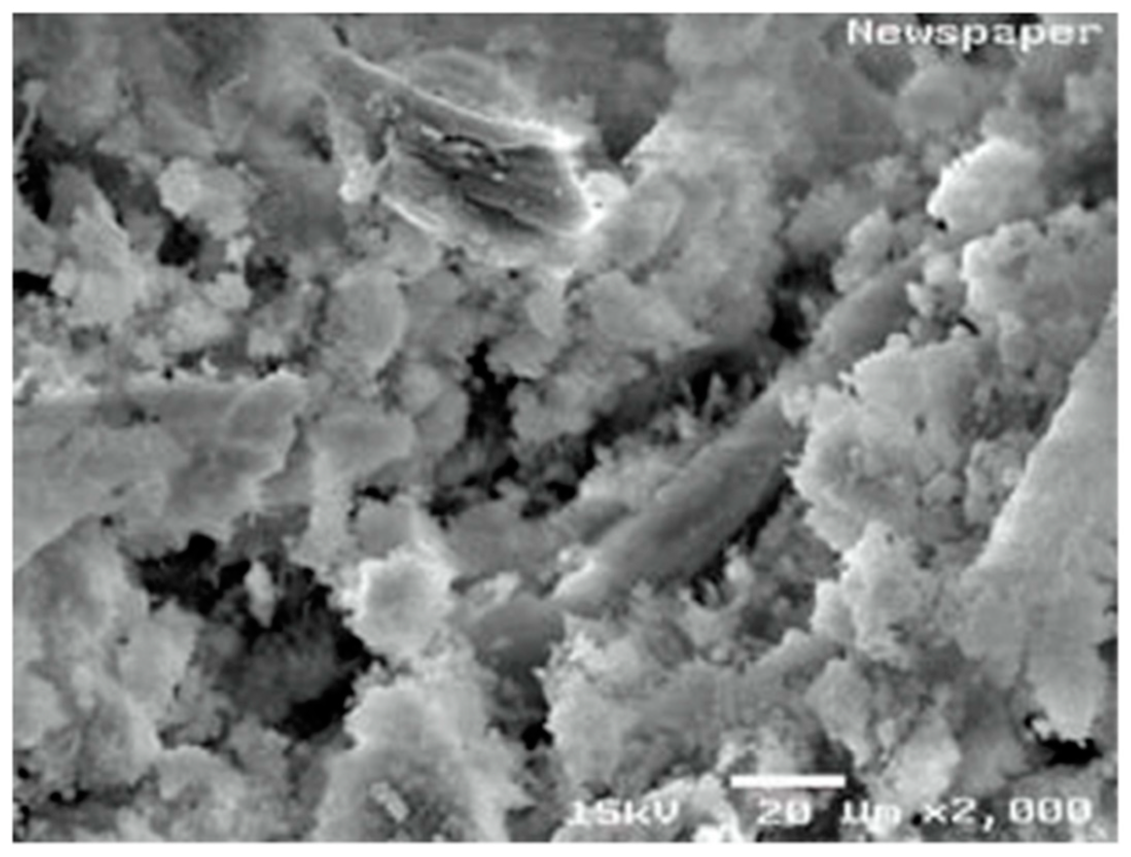 Polymers 15 00520 g007 Polymers 15 00520 g007