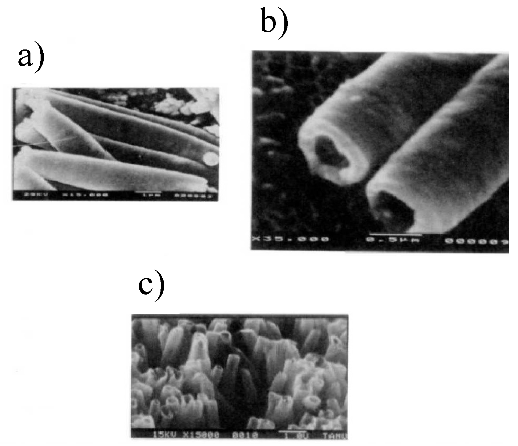 Polymers 15 00525 g003