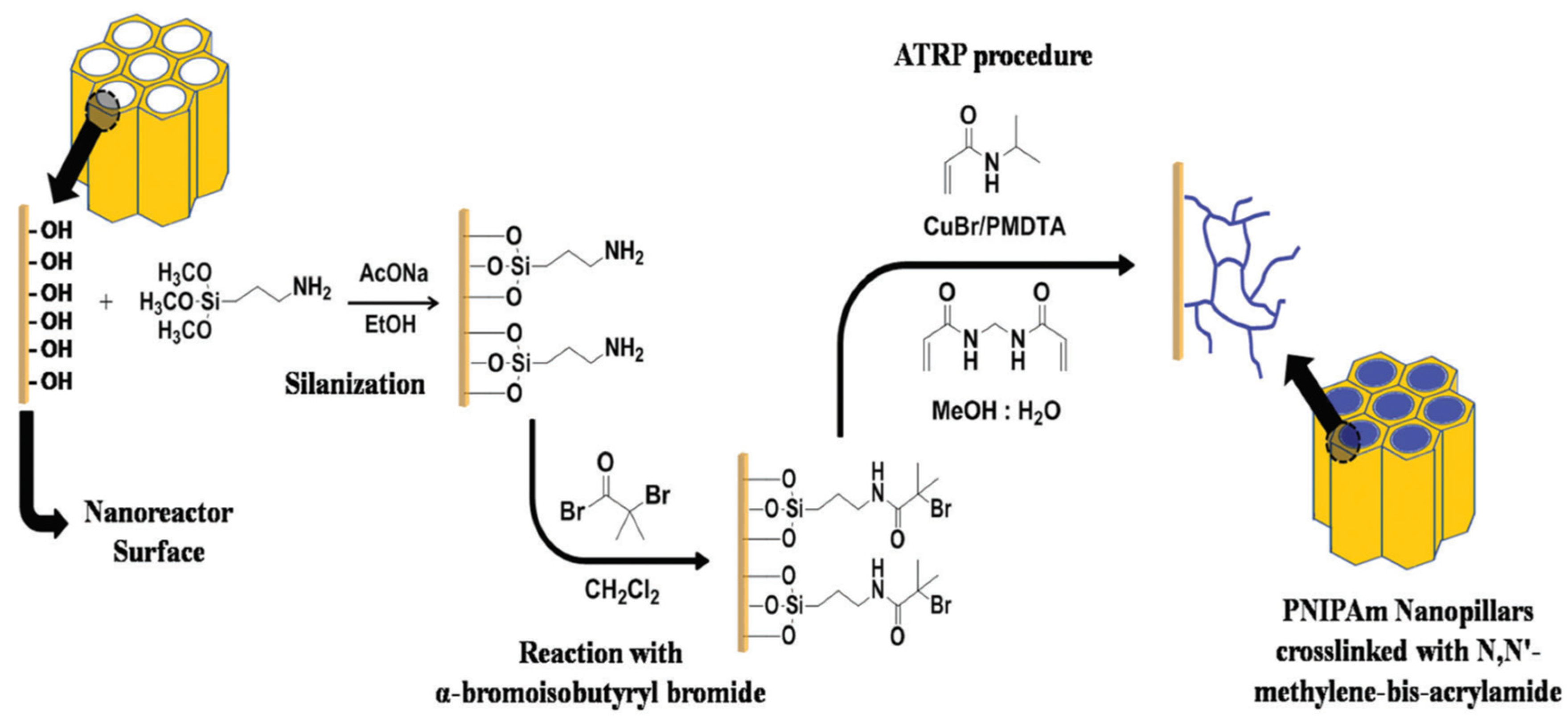 Polymers 15 00525 g012