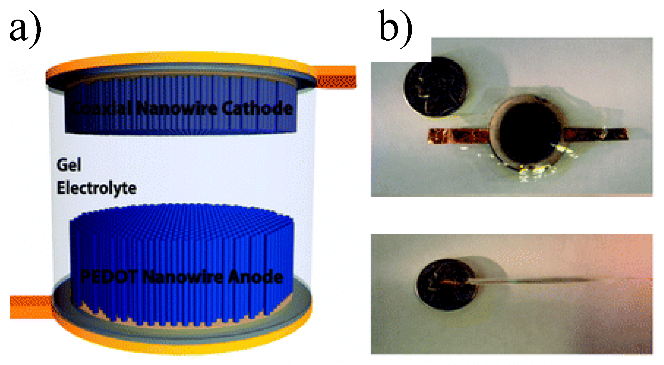 Polymers 15 00525 g013