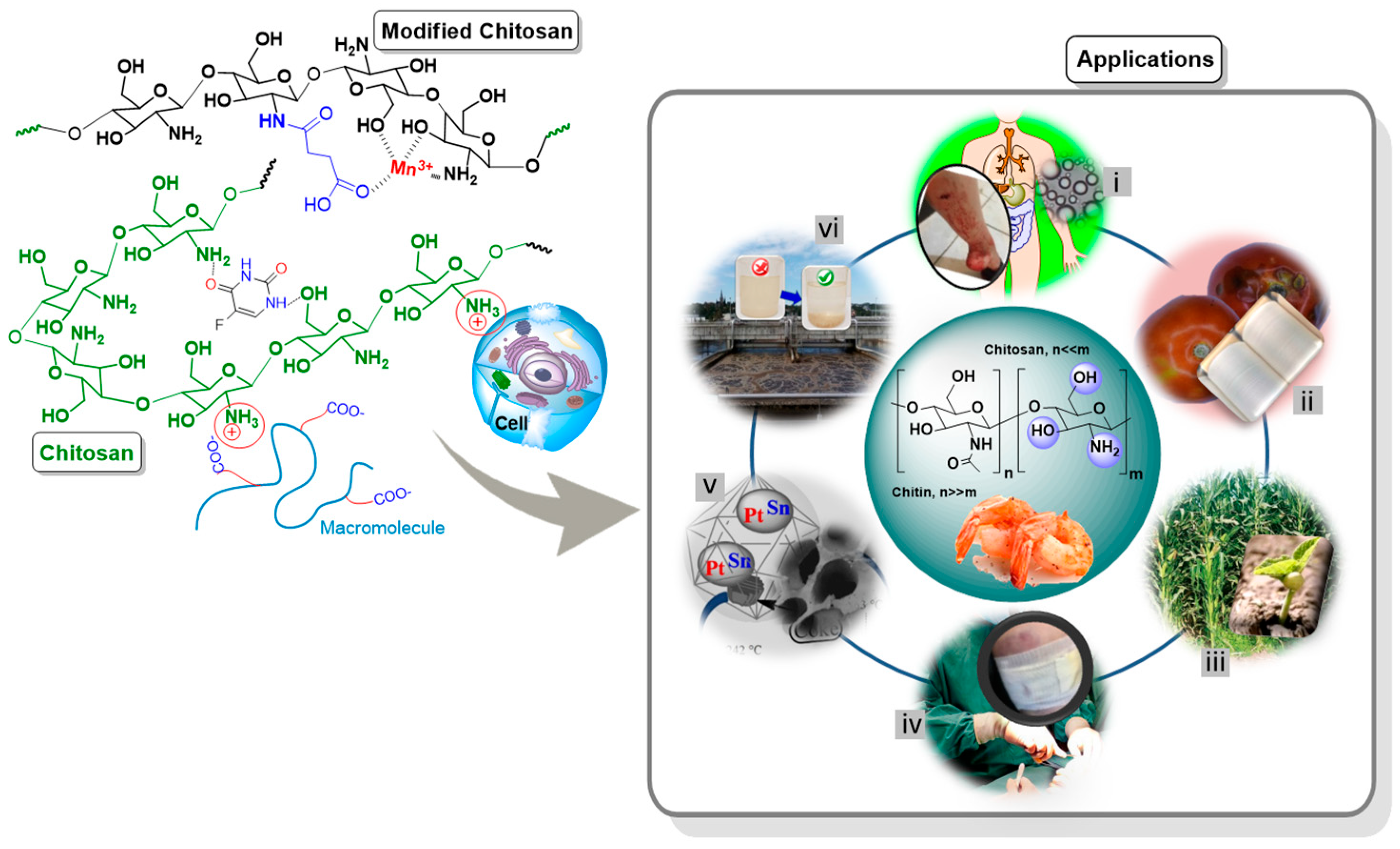 Polymers 15 00526 g001 Polymers 15 00526 g001