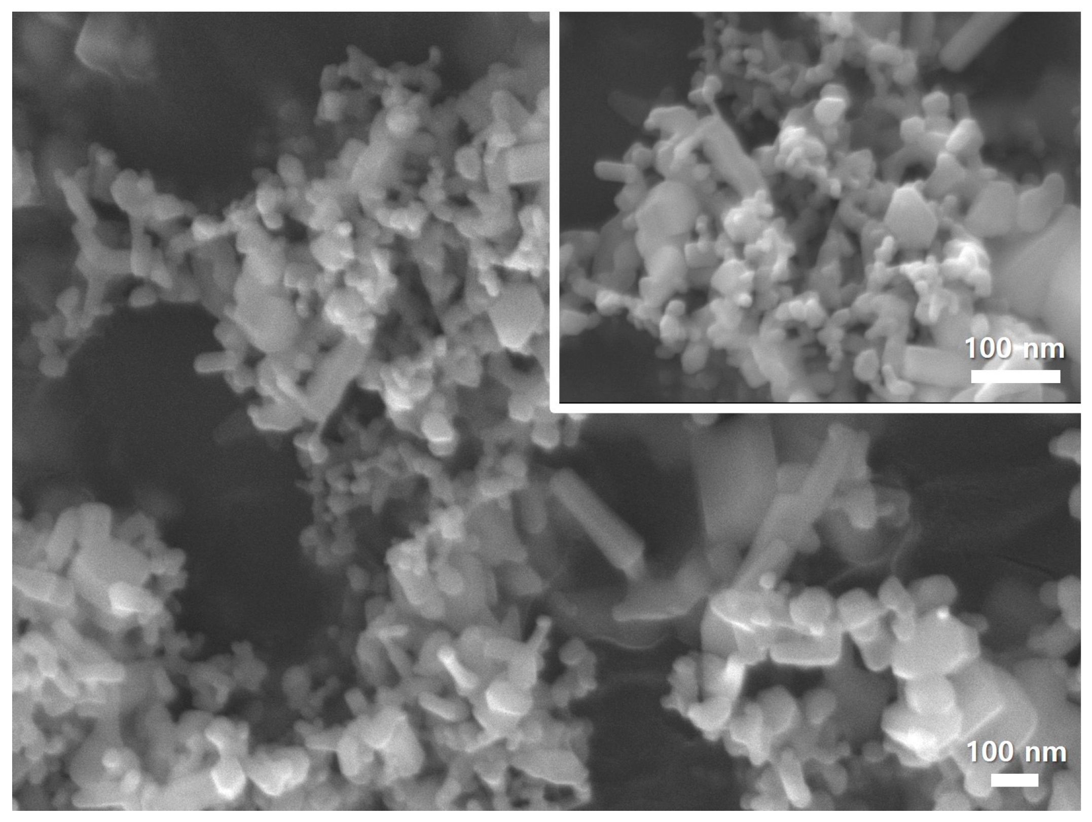 Polymers 15 00529 g002