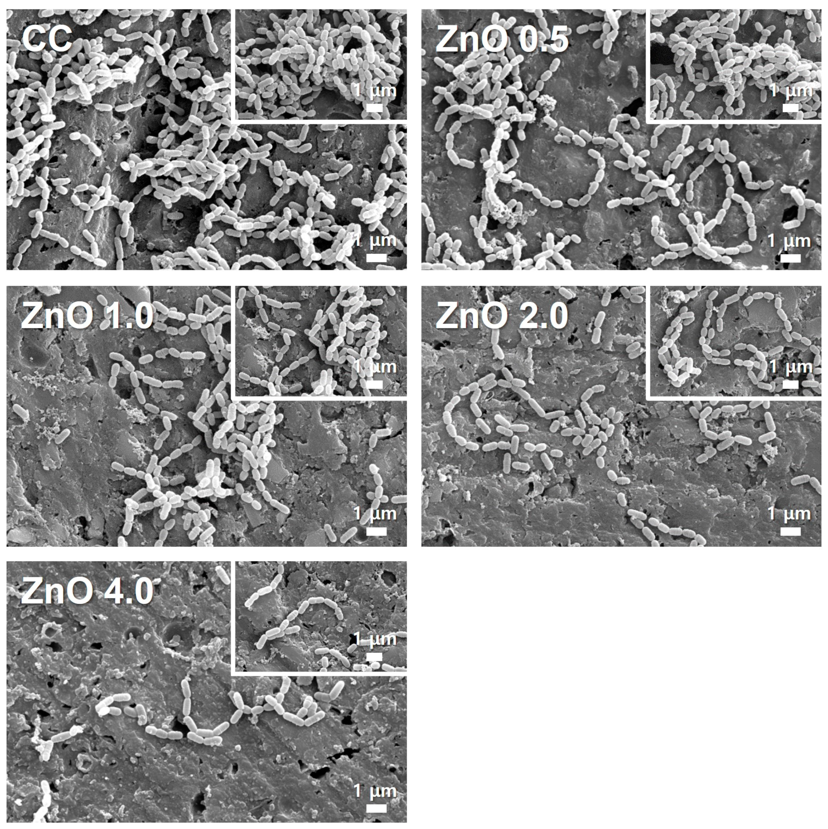 Polymers 15 00529 g003