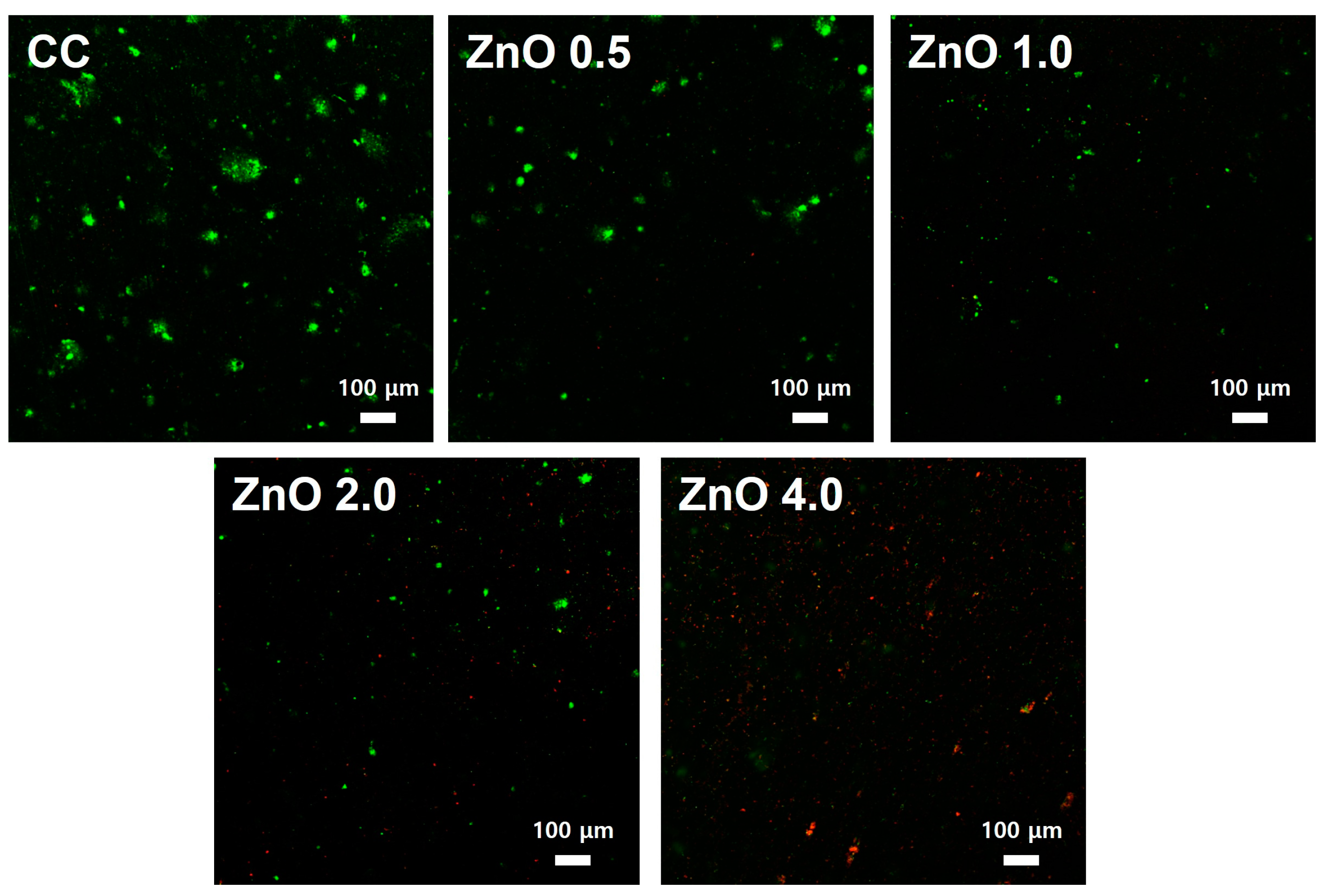 Polymers 15 00529 g005