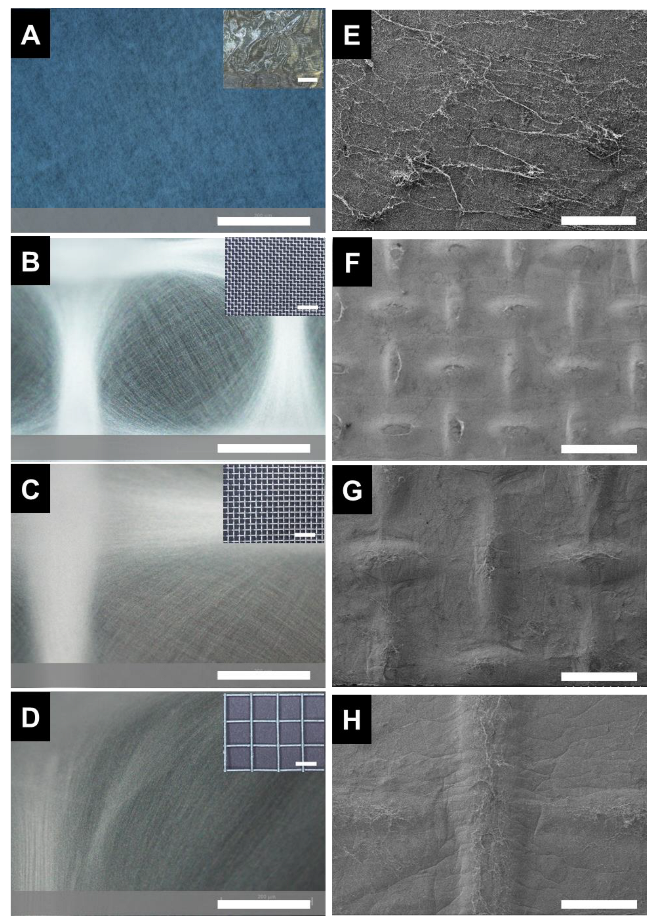 Polymers 15 00533 g001