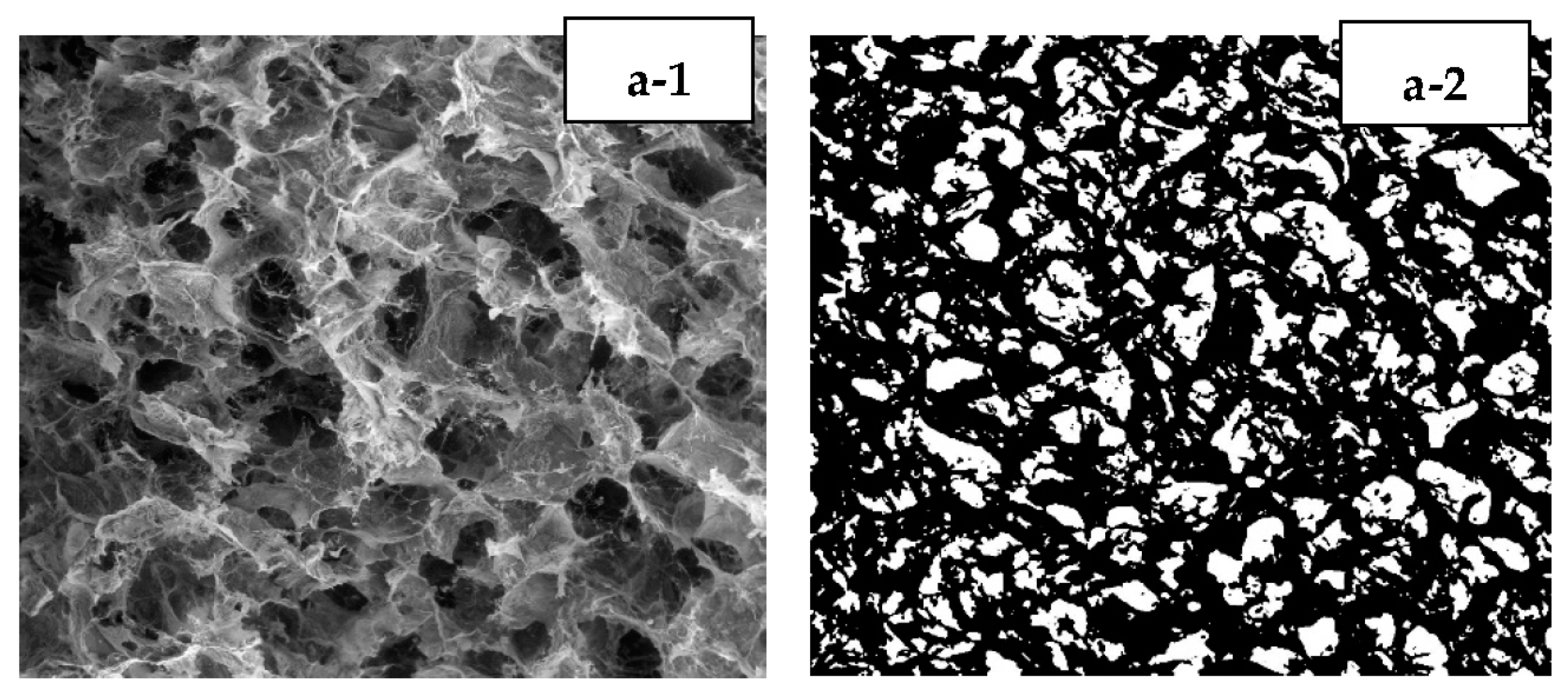 Polymers 15 00534 g002a Polymers 15 00534 g002a