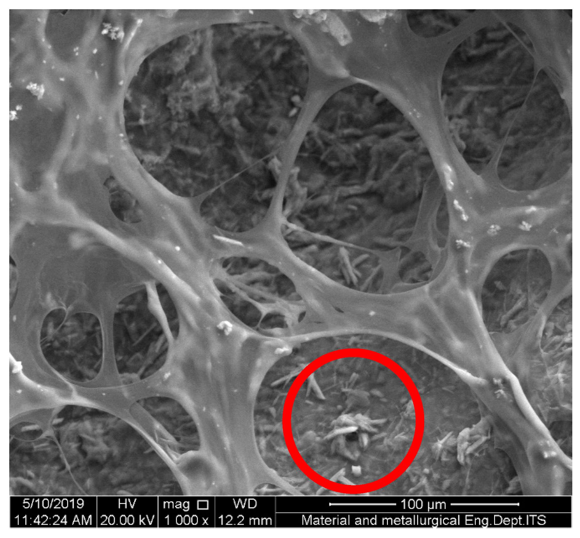 Polymers 15 00534 g003 Polymers 15 00534 g003