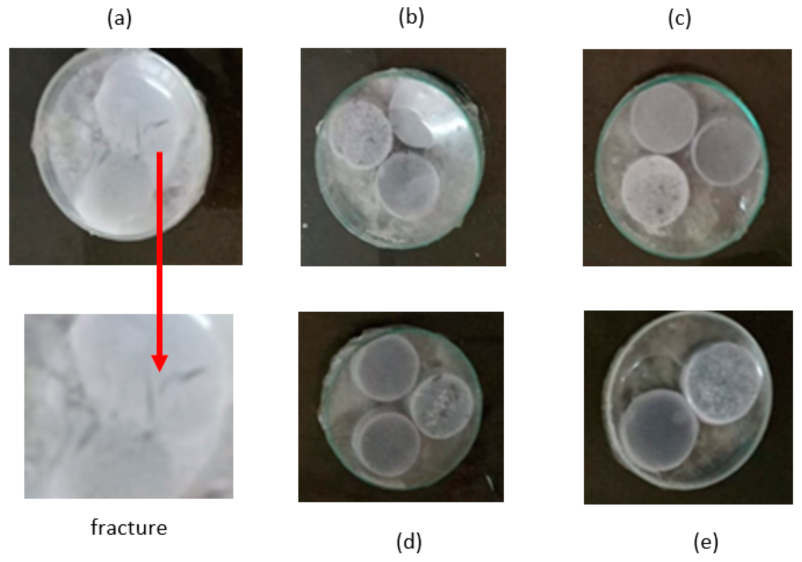 Polymers 15 00534 g006 Polymers 15 00534 g006