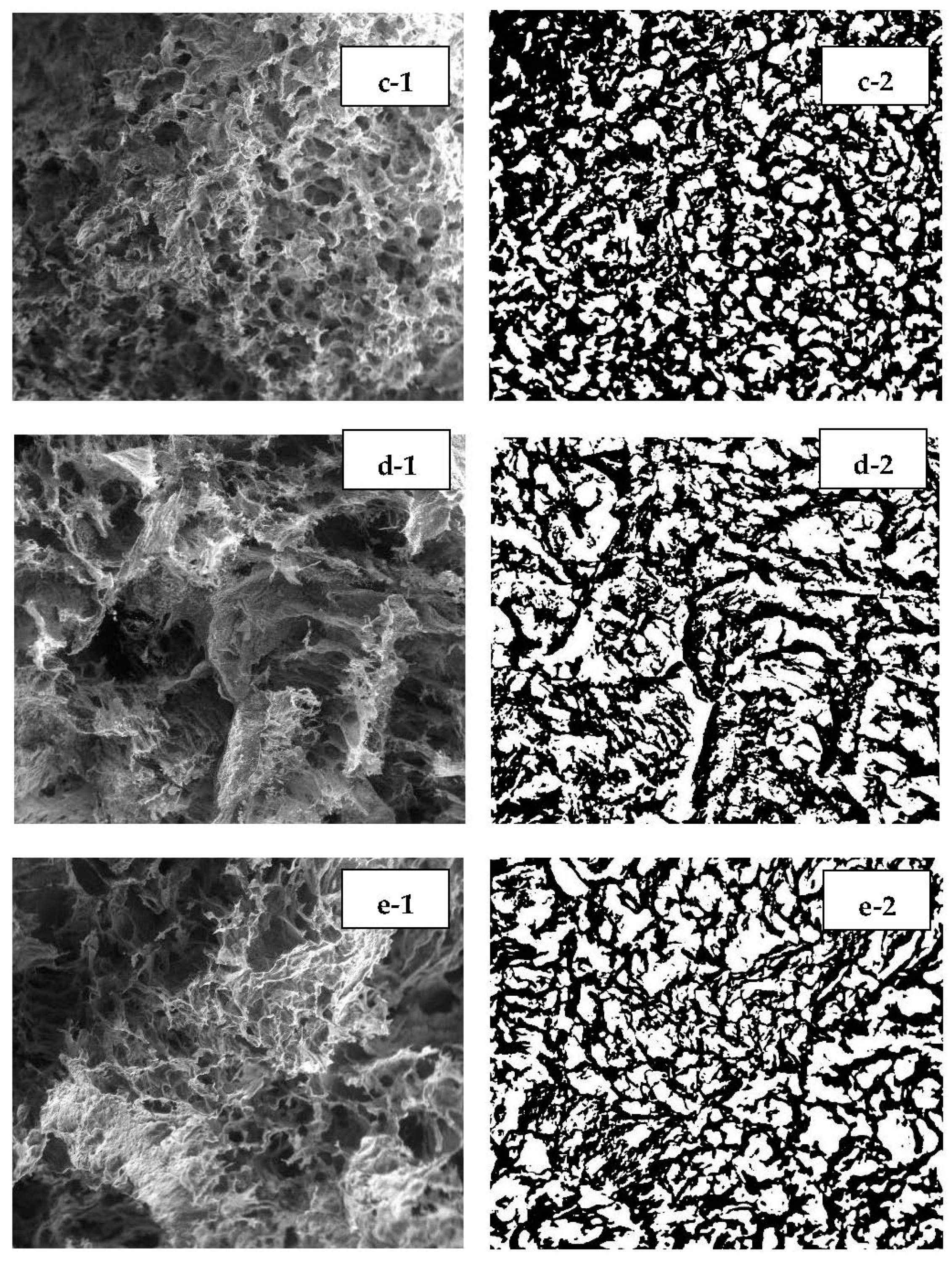 Polymers 15 00534 g007b Polymers 15 00534 g007b