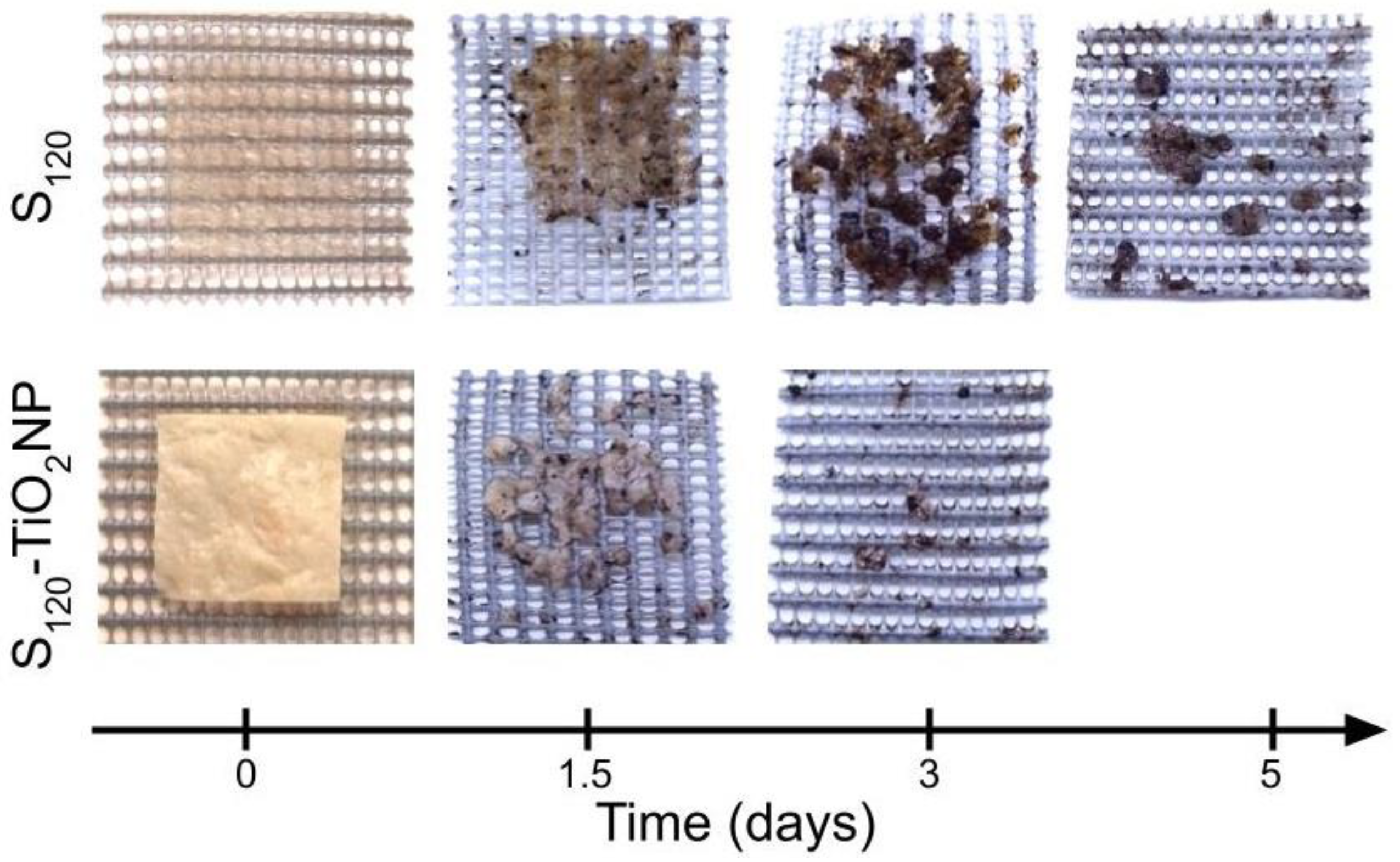 Polymers 15 00535 g009 Polymers 15 00535 g009
