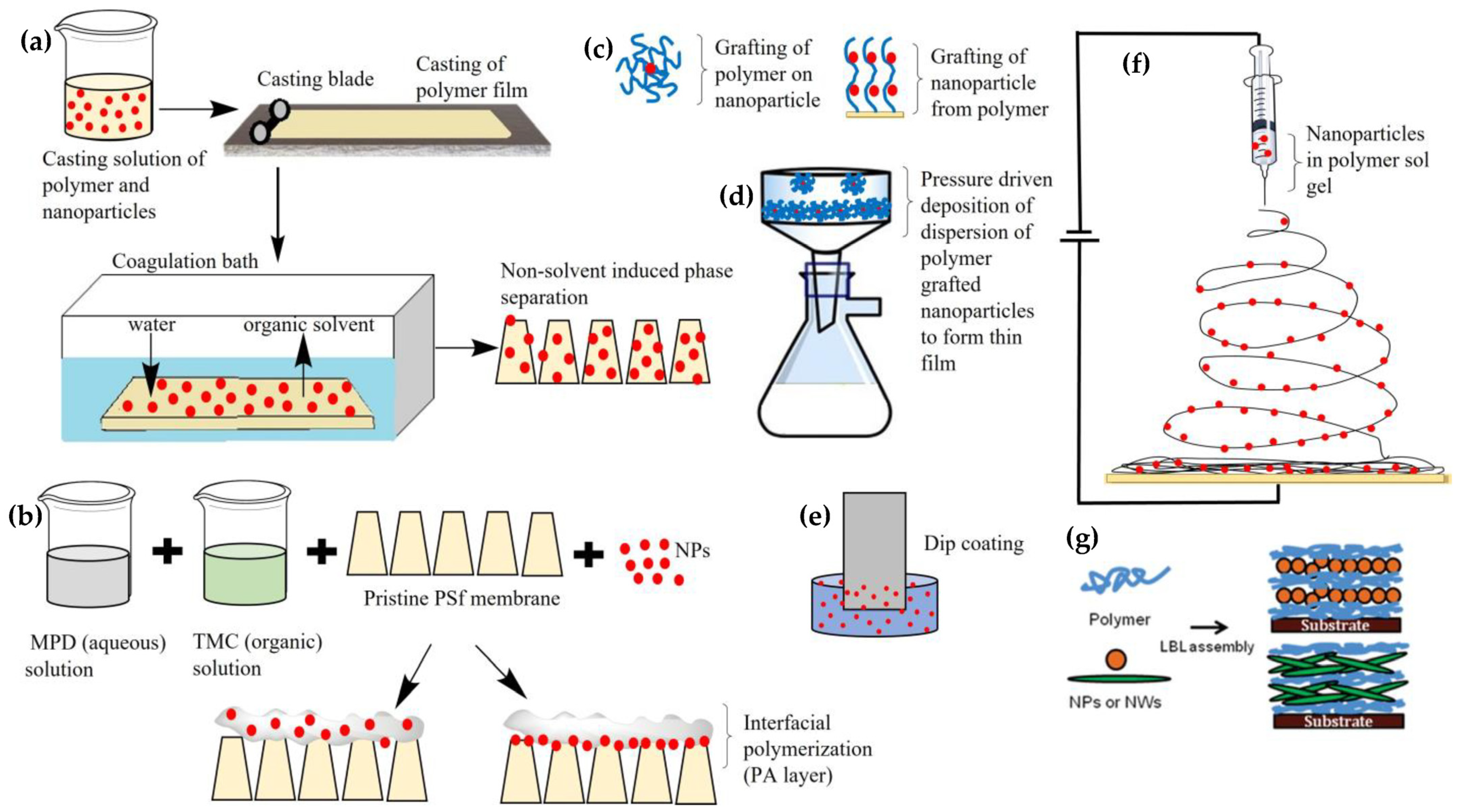 Polymers 15 00540 g001