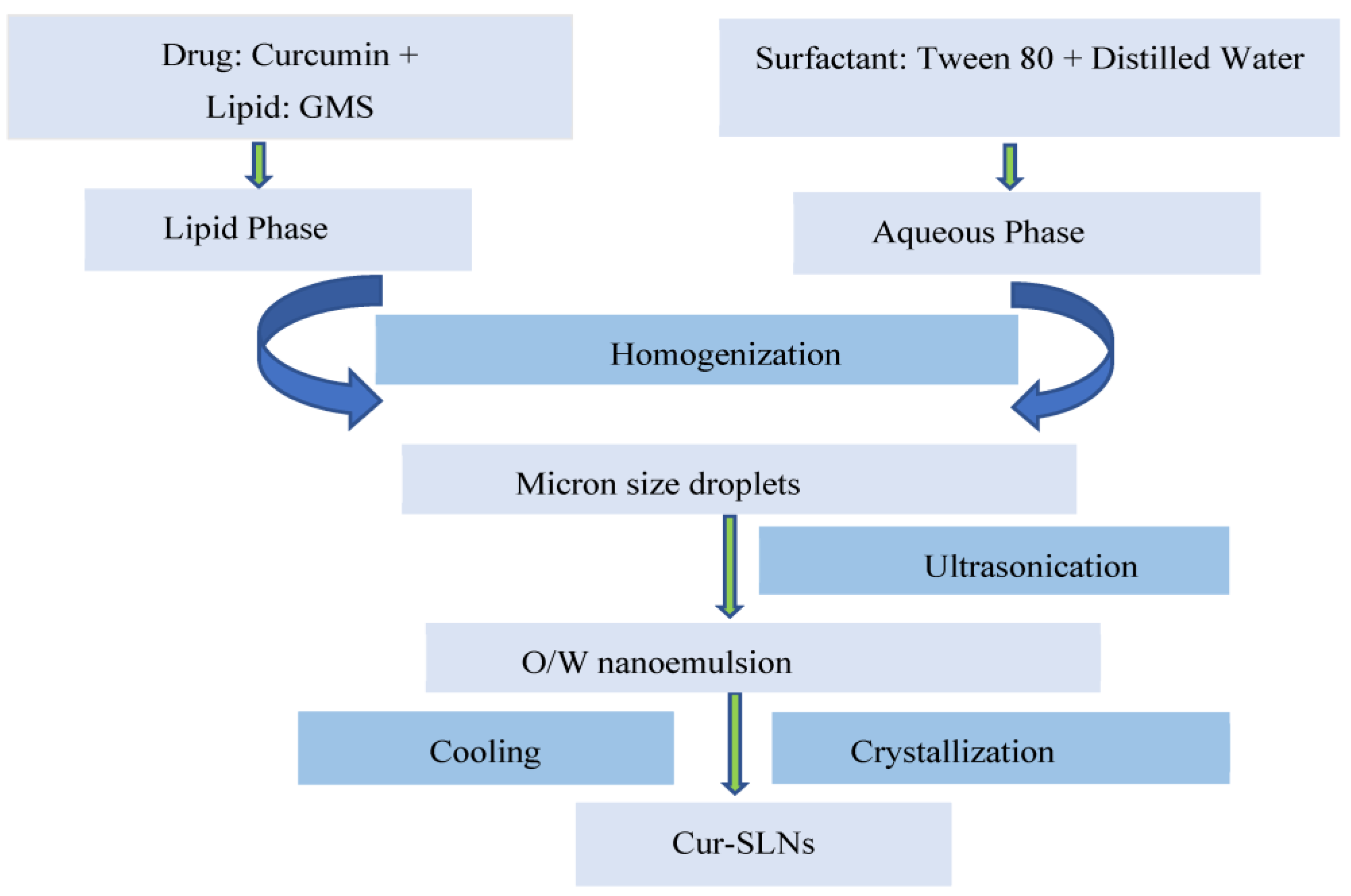 Polymers 15 00542 g001