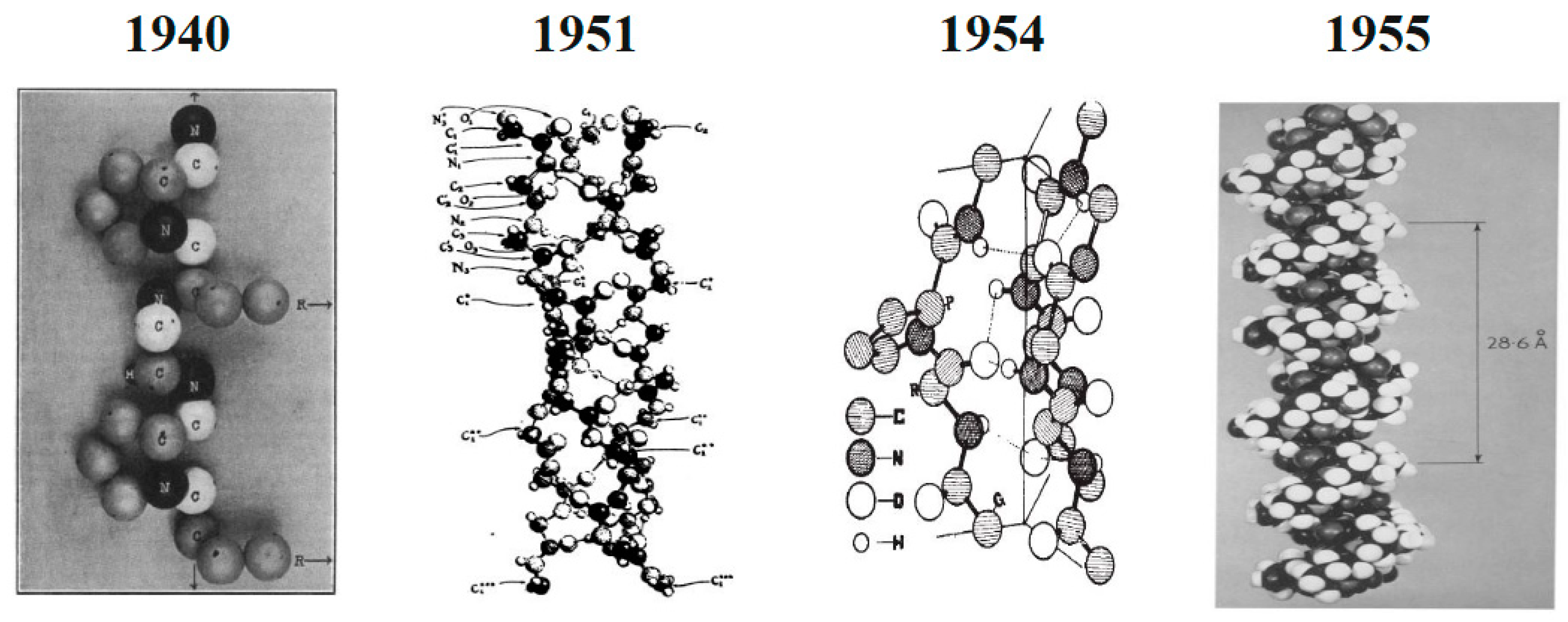 Polymers 15 00544 g003 Polymers 15 00544 g003