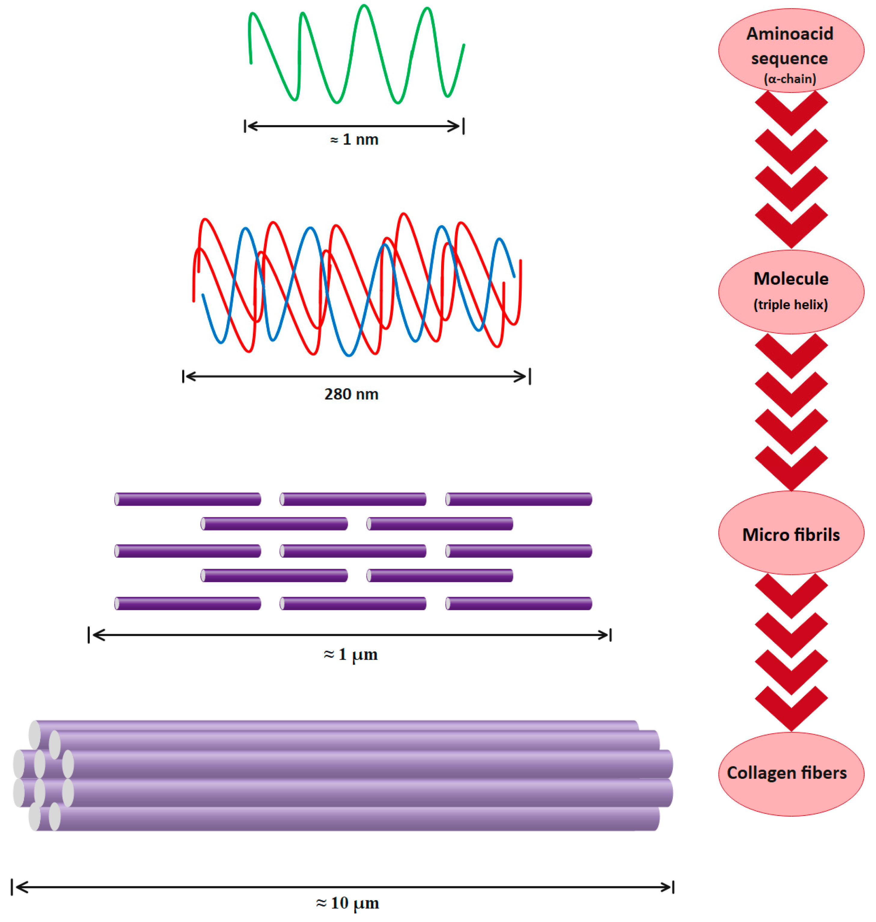 Polymers 15 00544 g004 Polymers 15 00544 g004