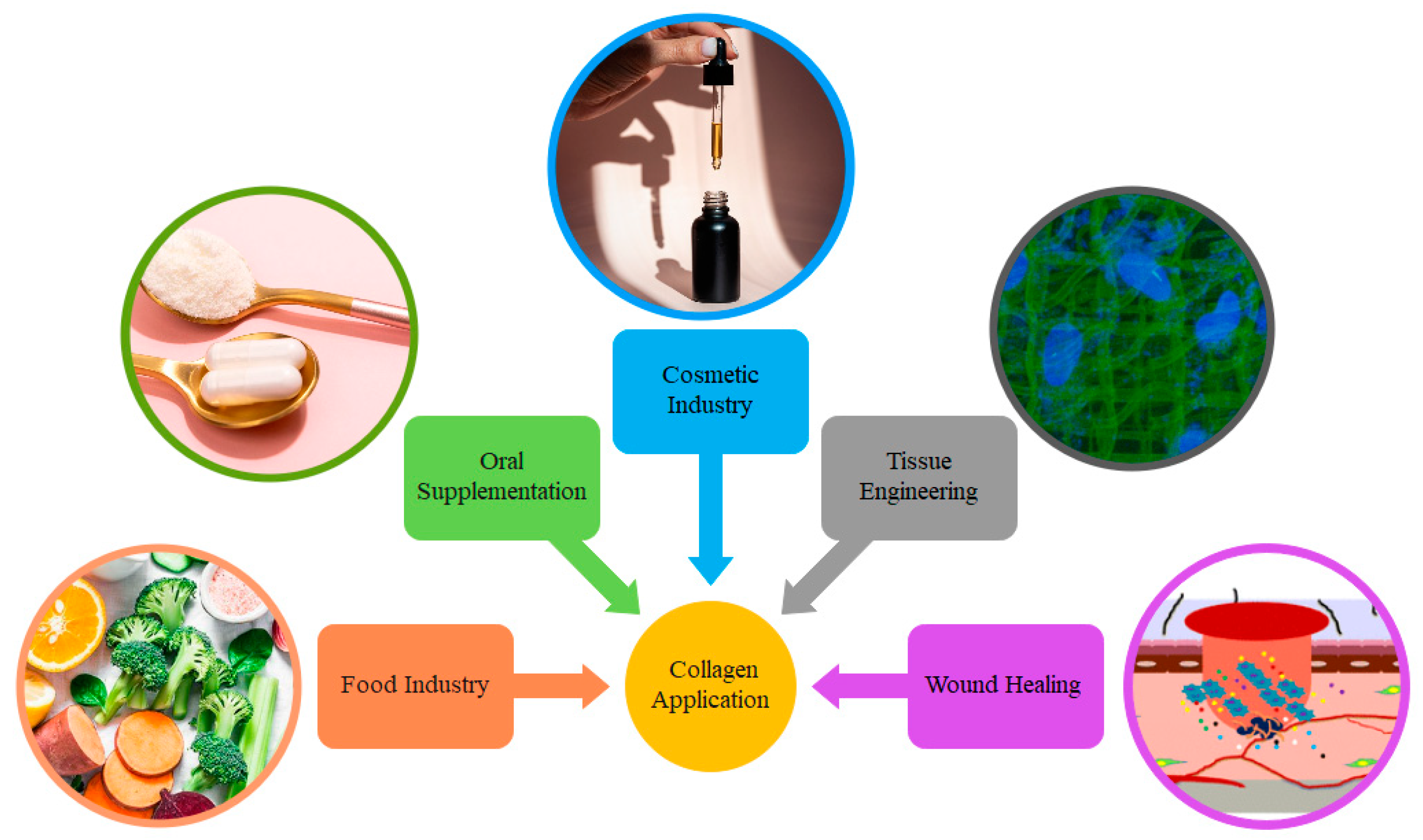 Polymers 15 00544 g009 Polymers 15 00544 g009