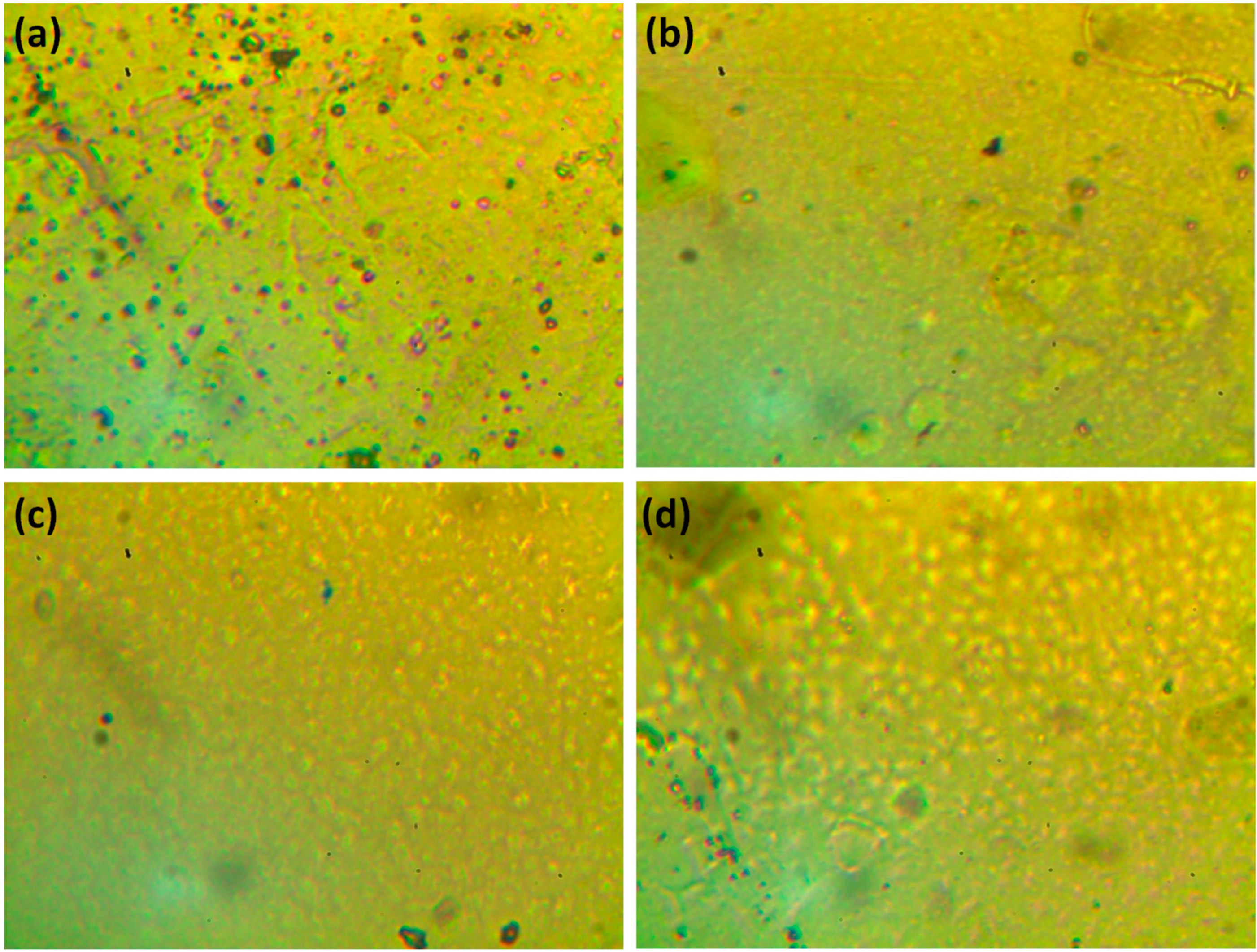 Polymers 15 00550 g005