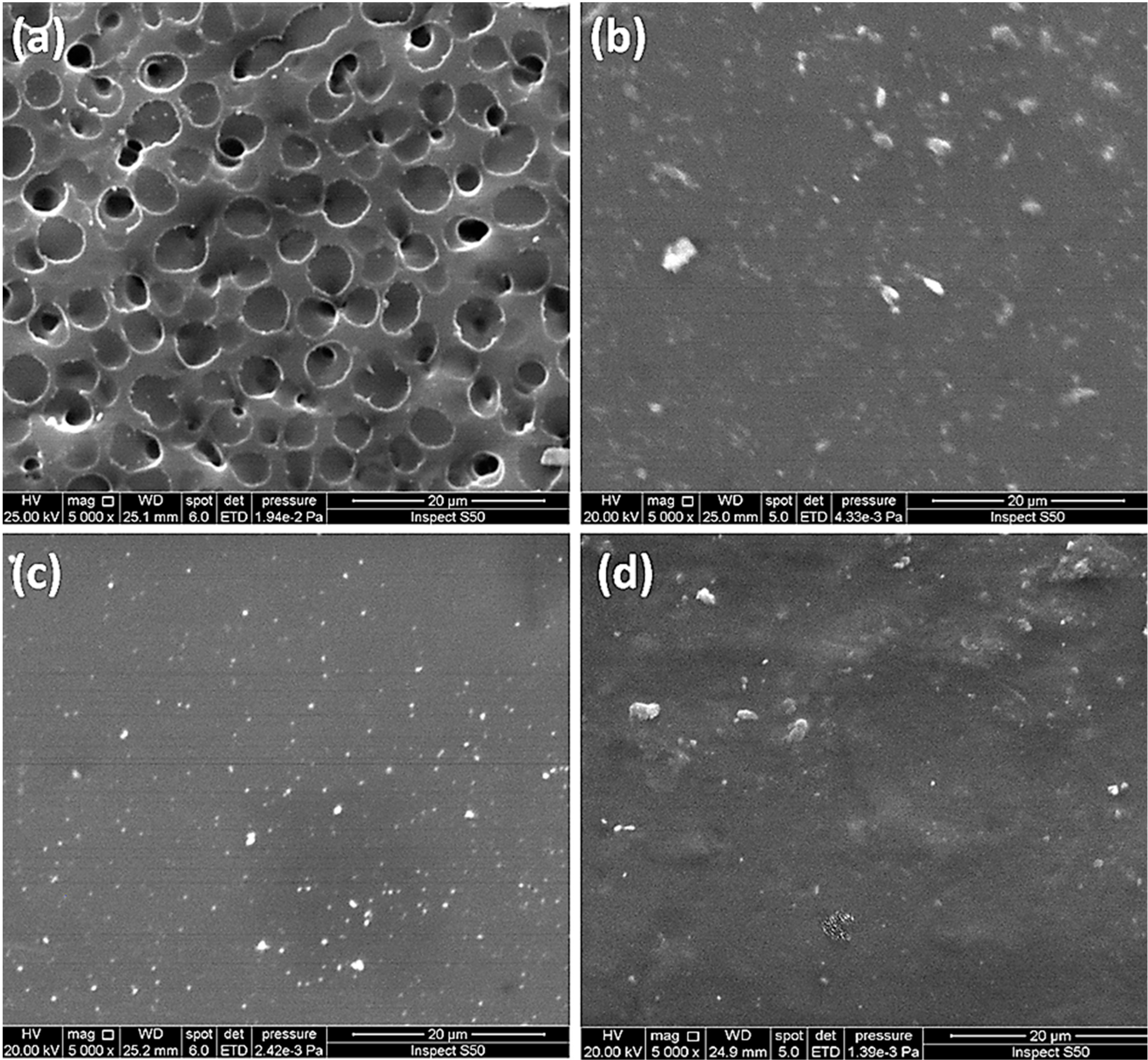 Polymers 15 00550 g006