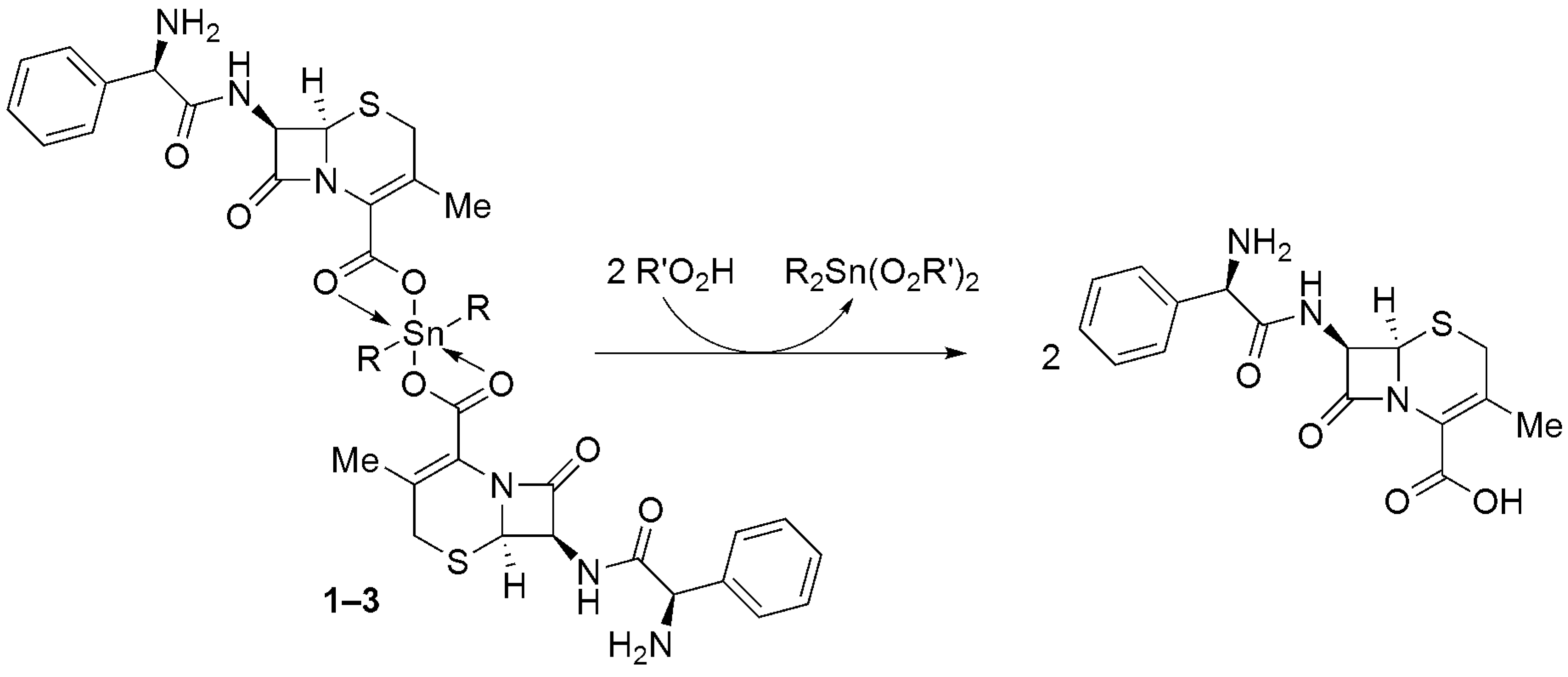 Polymers 15 00550 sch003