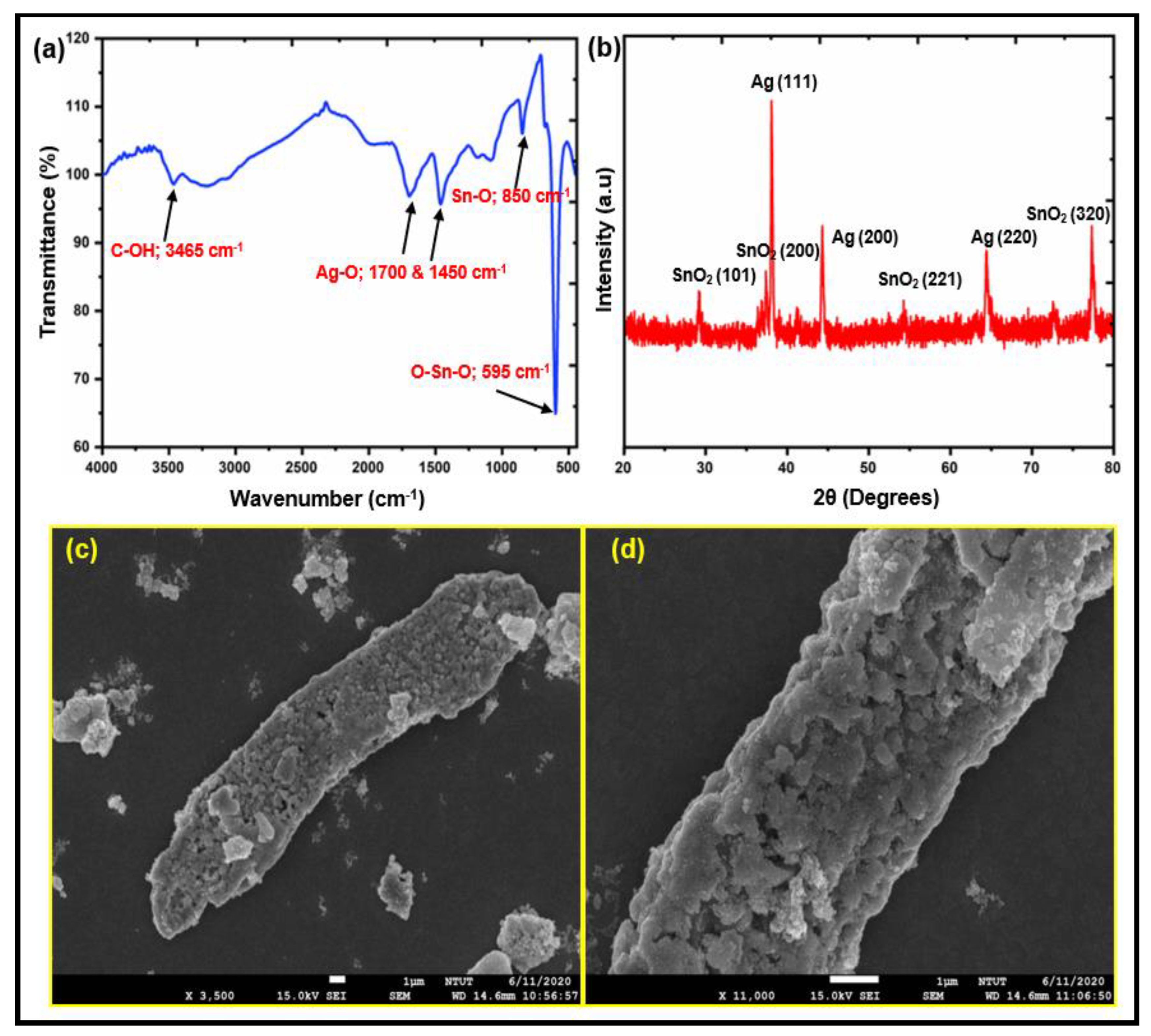 Polymers 15 00554 g002