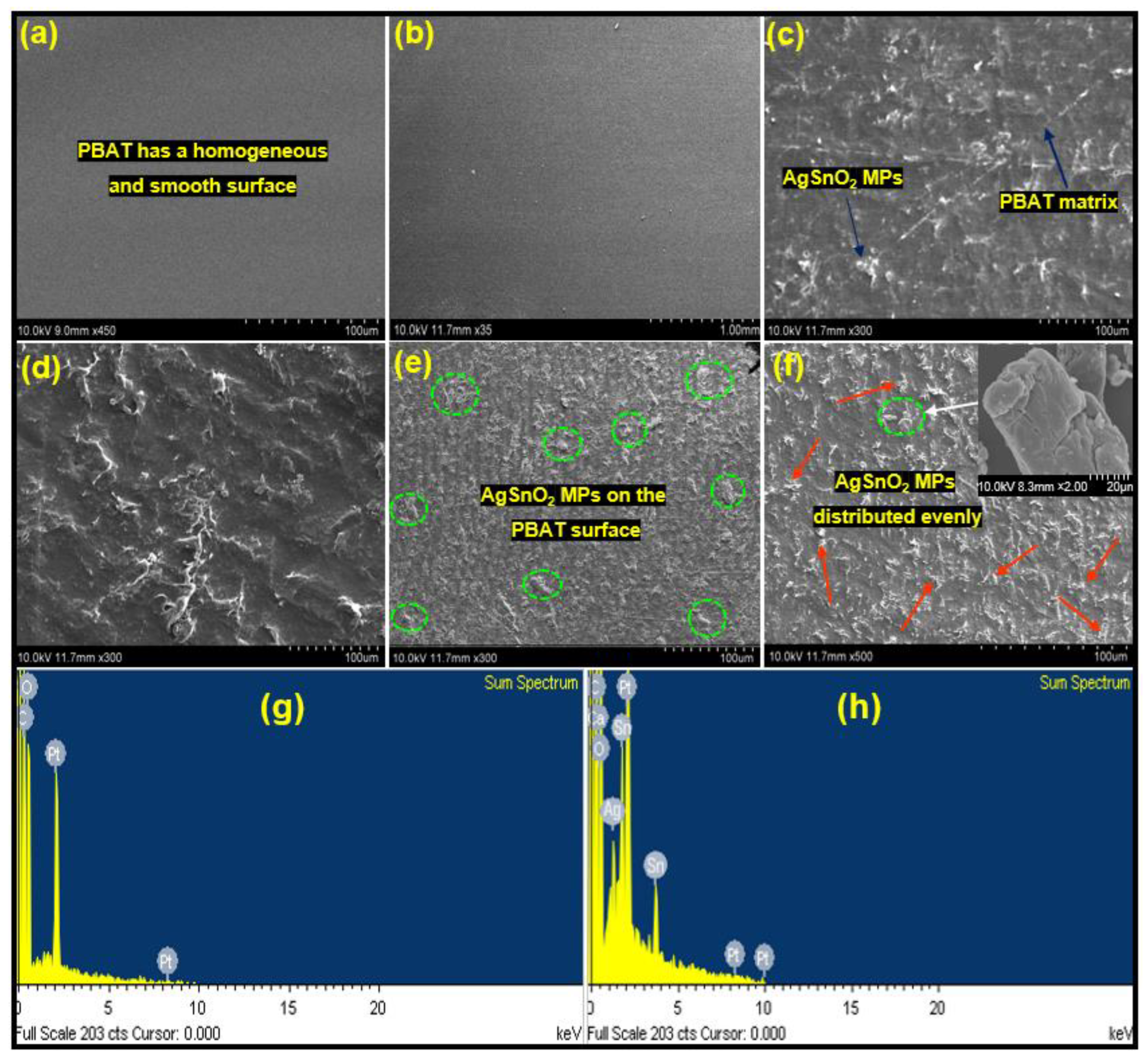 Polymers 15 00554 g006
