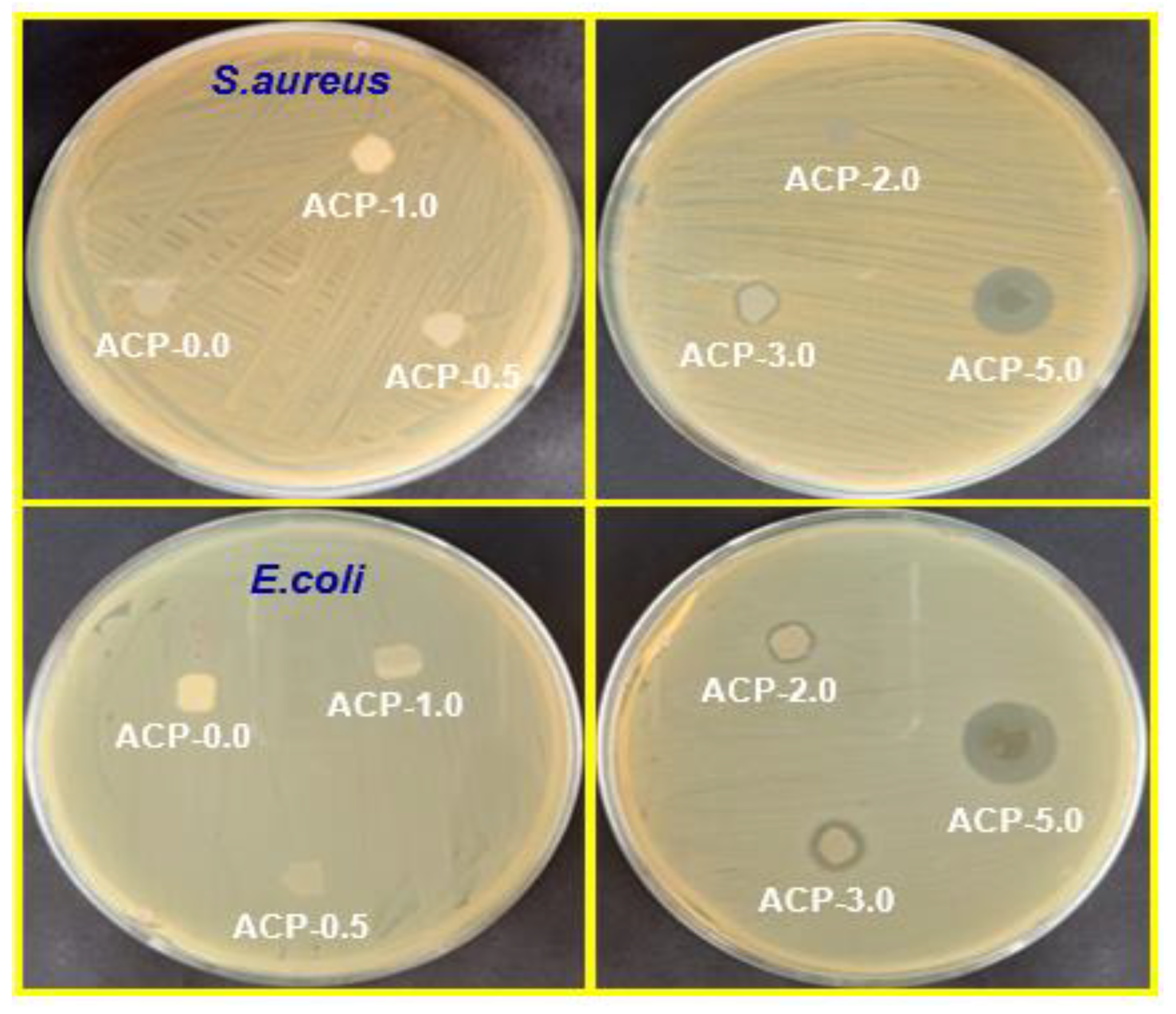 Polymers 15 00554 g012
