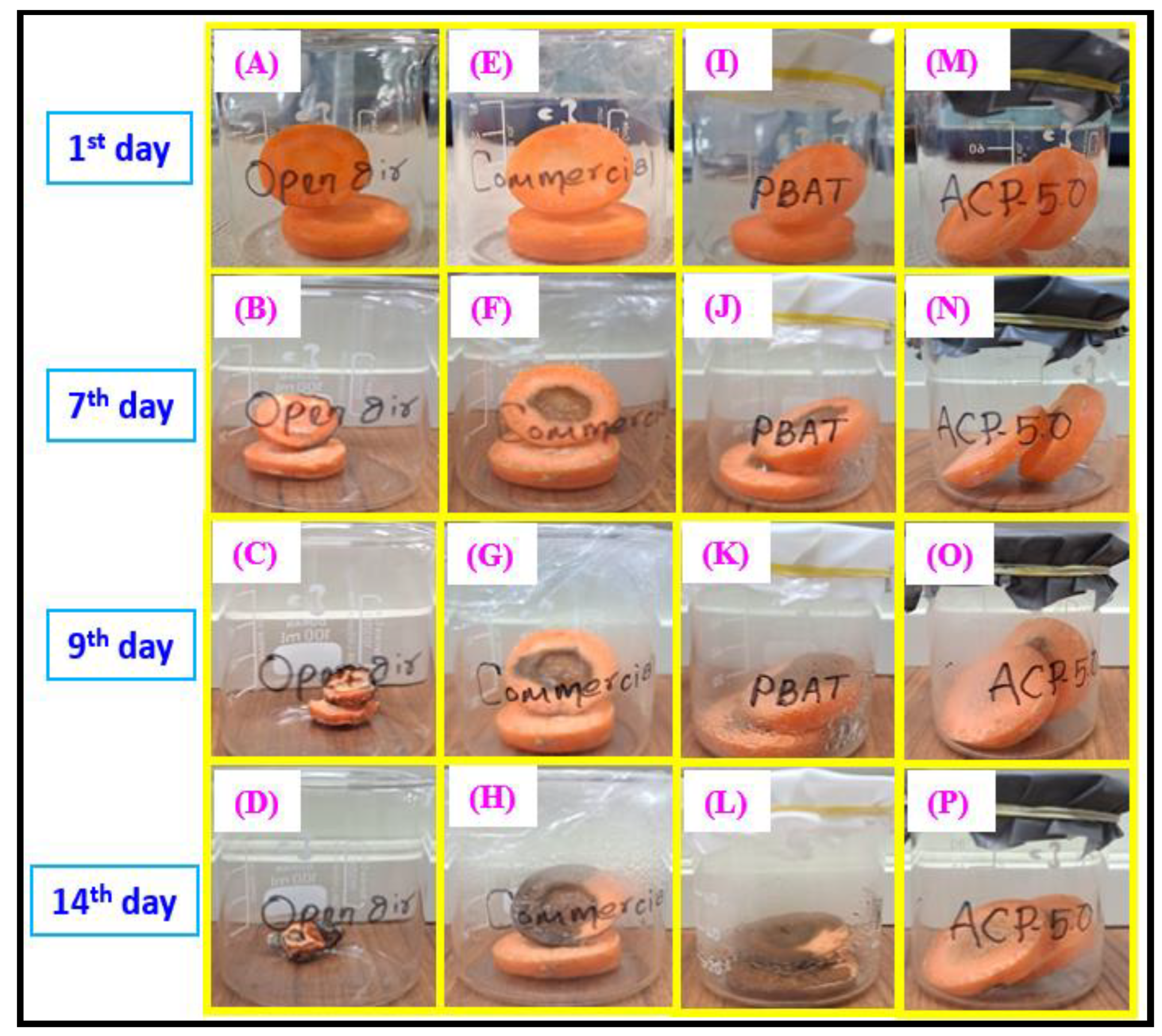 Polymers 15 00554 g013