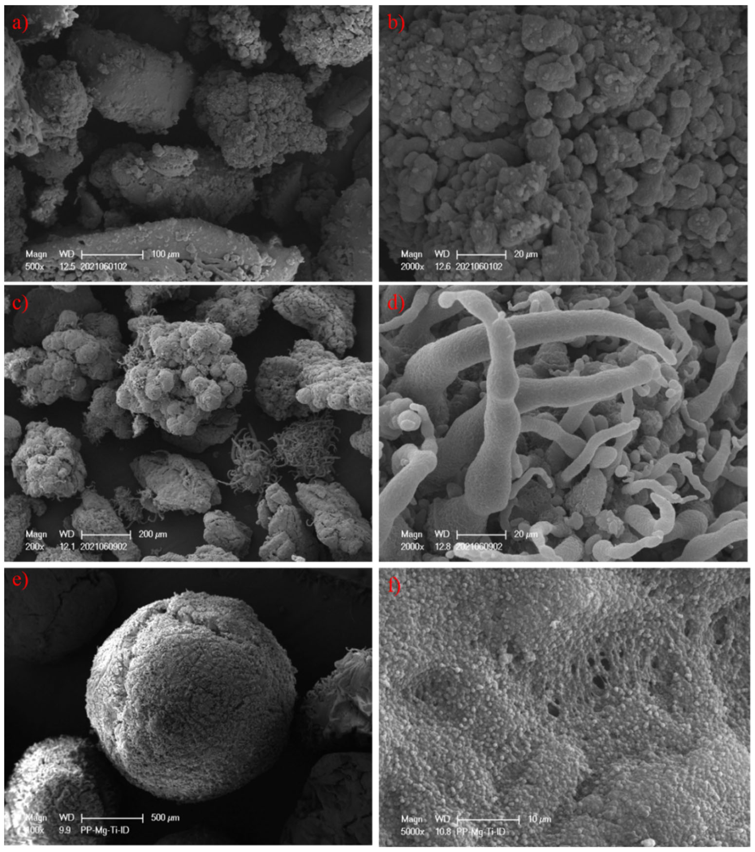 Polymers 15 00555 g009