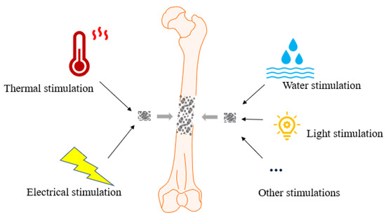 The Current Status, Prospects, and Challenges of Shape Memory 
