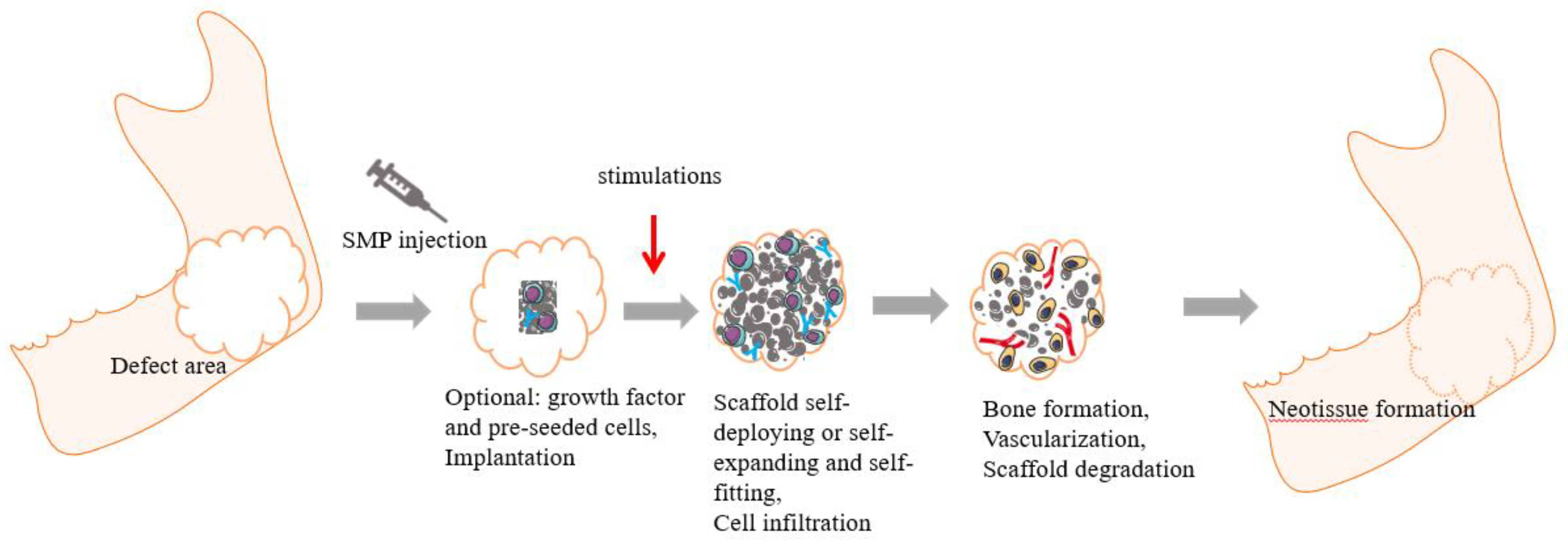 Polymers 15 00556 g002